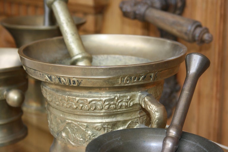 Germany Pharmacy Apothecary Mortar with Pestles, Set of 5 at 1stDibs