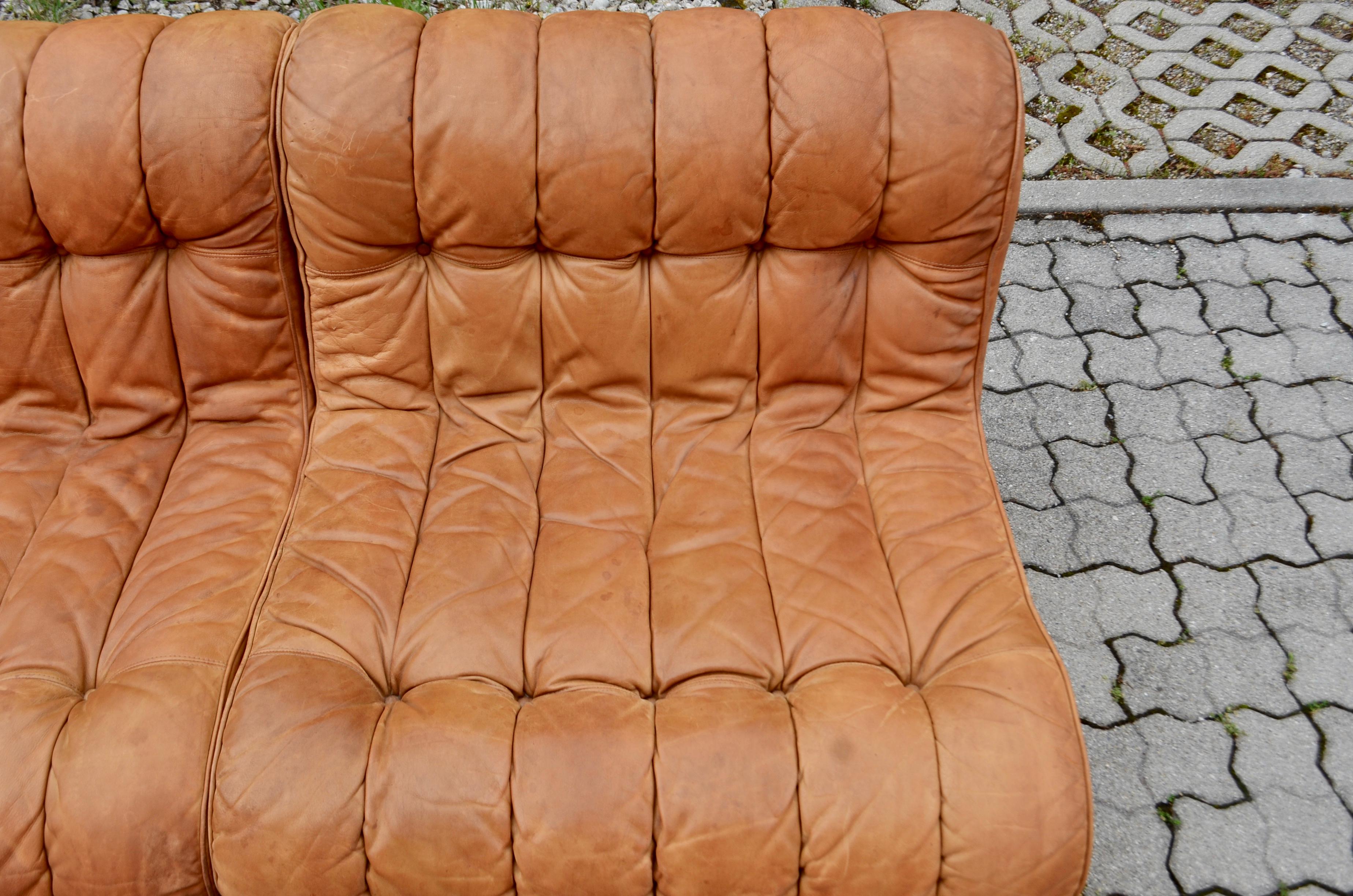 Germany Vintage Modular WK Lounge Cognac Leather Sofa, 1960s 5