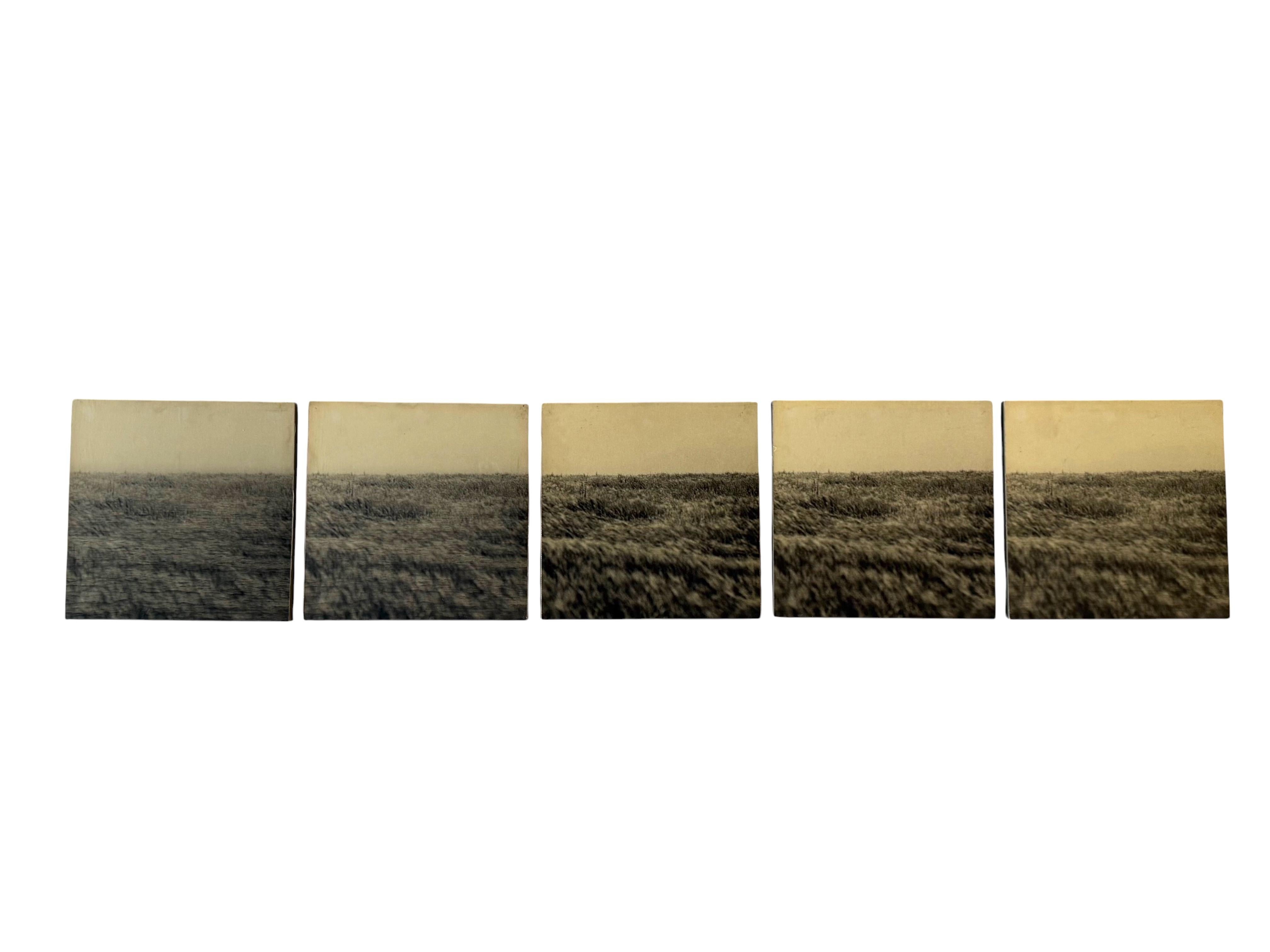 Set of 5 photographs on wood panel

Gerry Hunt (1927 - 2023), United Kingdom 1977

Early works “Viewpoint Dimas Head” 1977 - “Seagrass” 1977

Gerry Hunt’s career parallels the development of contemporary art itself. Born in 1927, his progress as an