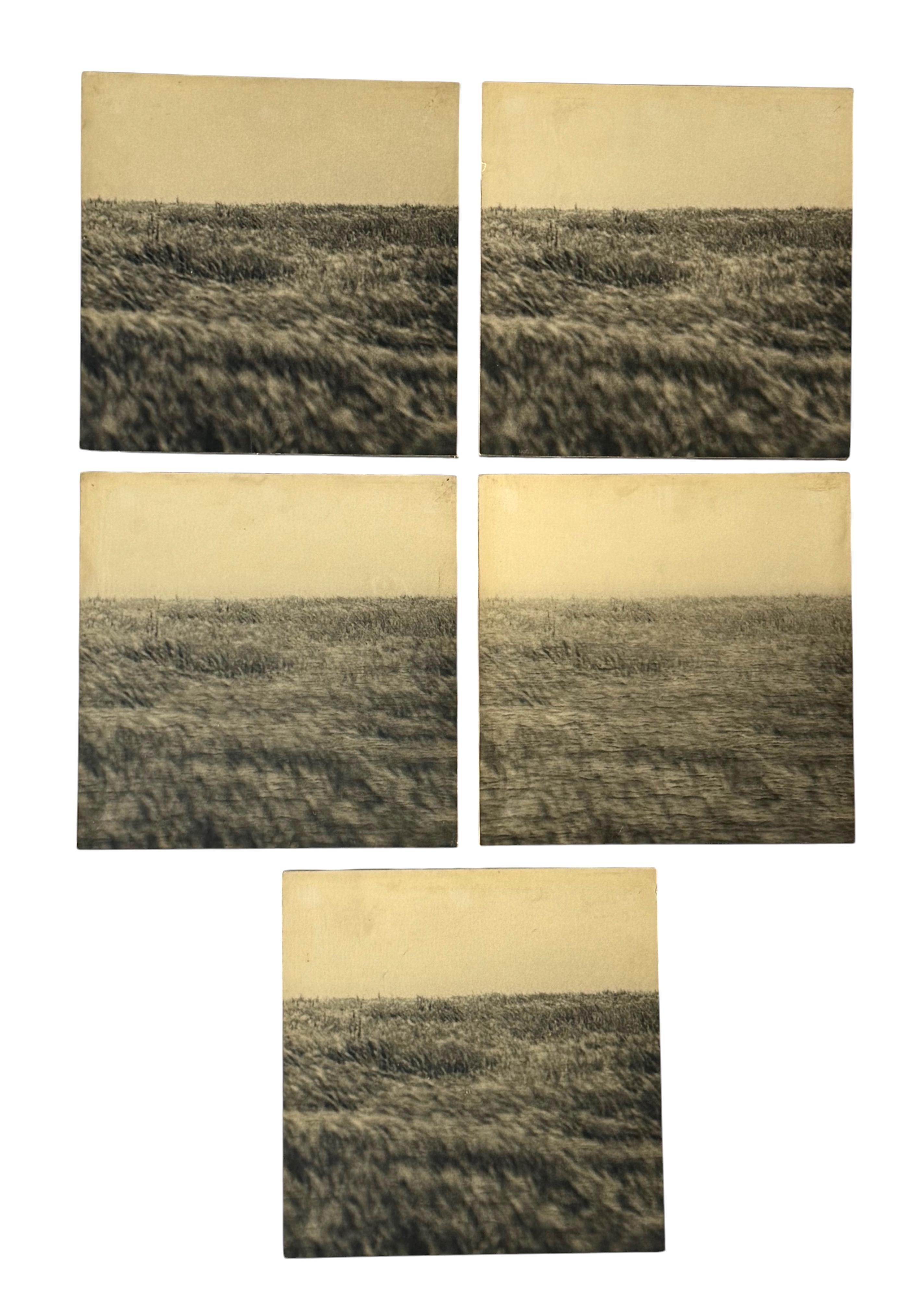 Gerry Hunt (1927 - 2023), set of  5 photos mounted on wood panels, UK 1977 im Zustand „Hervorragend“ im Angebot in Firenze, IT