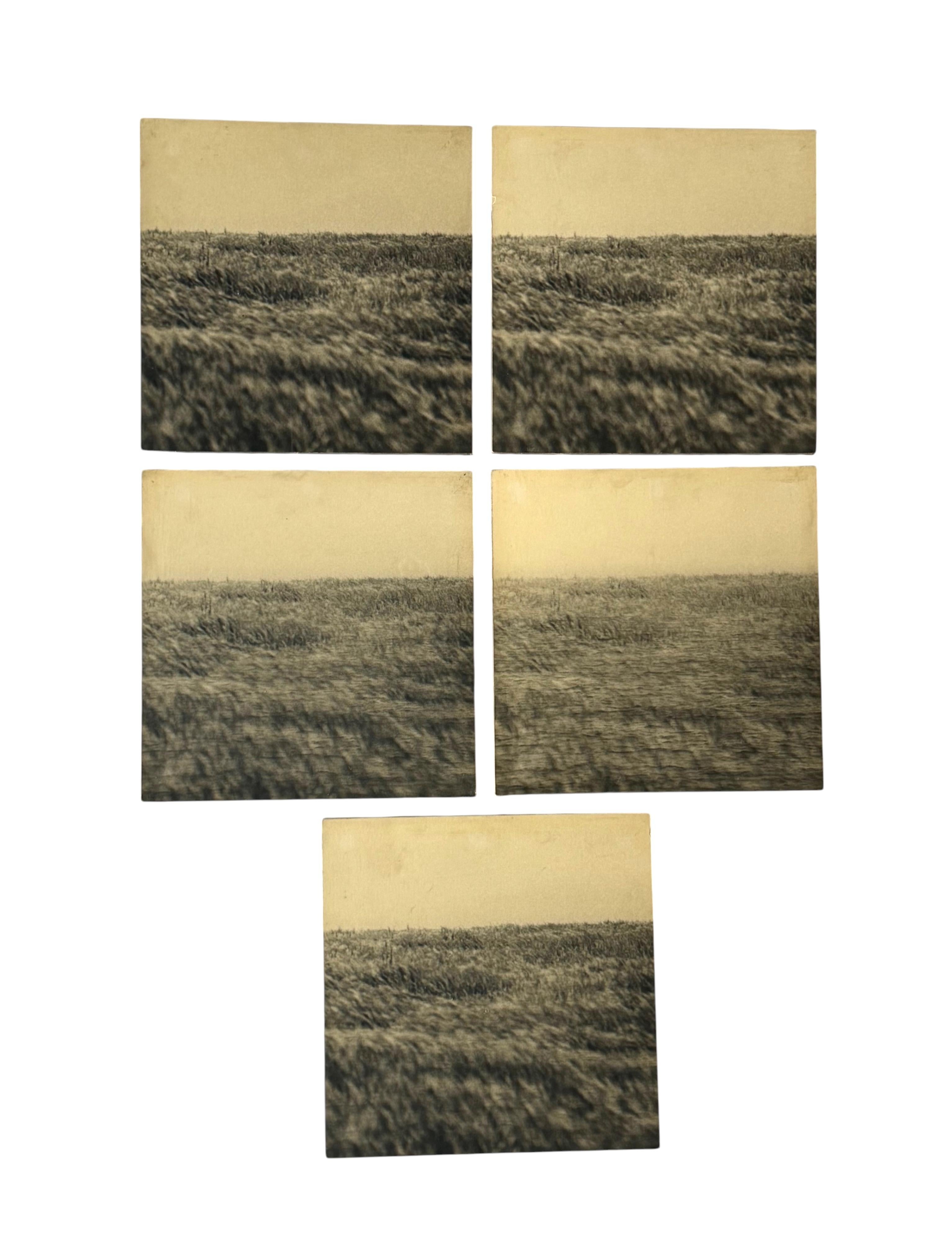 Gerry Hunt (1927 - 2023), set of  5 photos mounted on wood panels, UK 1977 (Late 20th Century) im Angebot