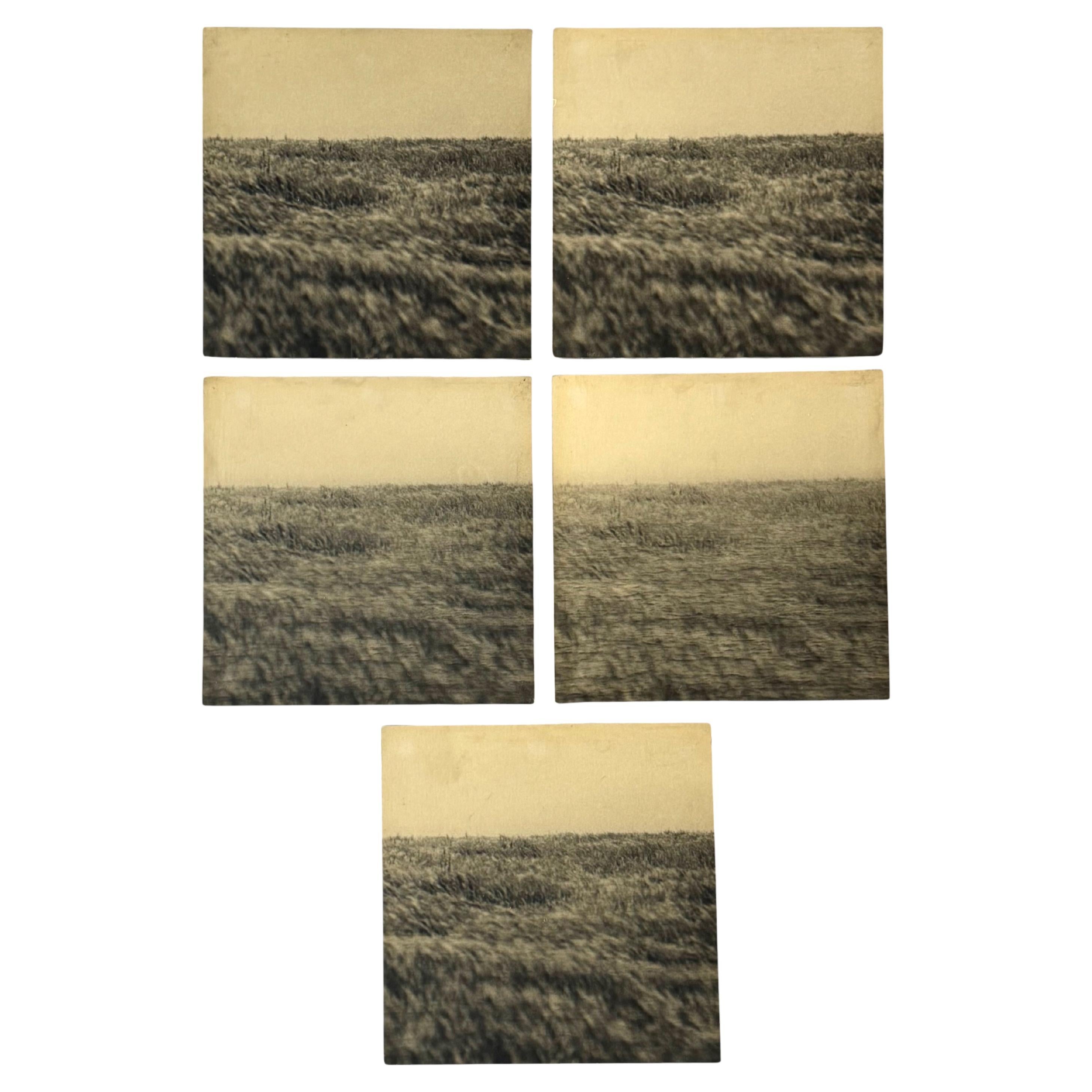 Gerry Hunt (1927 - 2023), set of  5 photos mounted on wood panels, UK 1977
