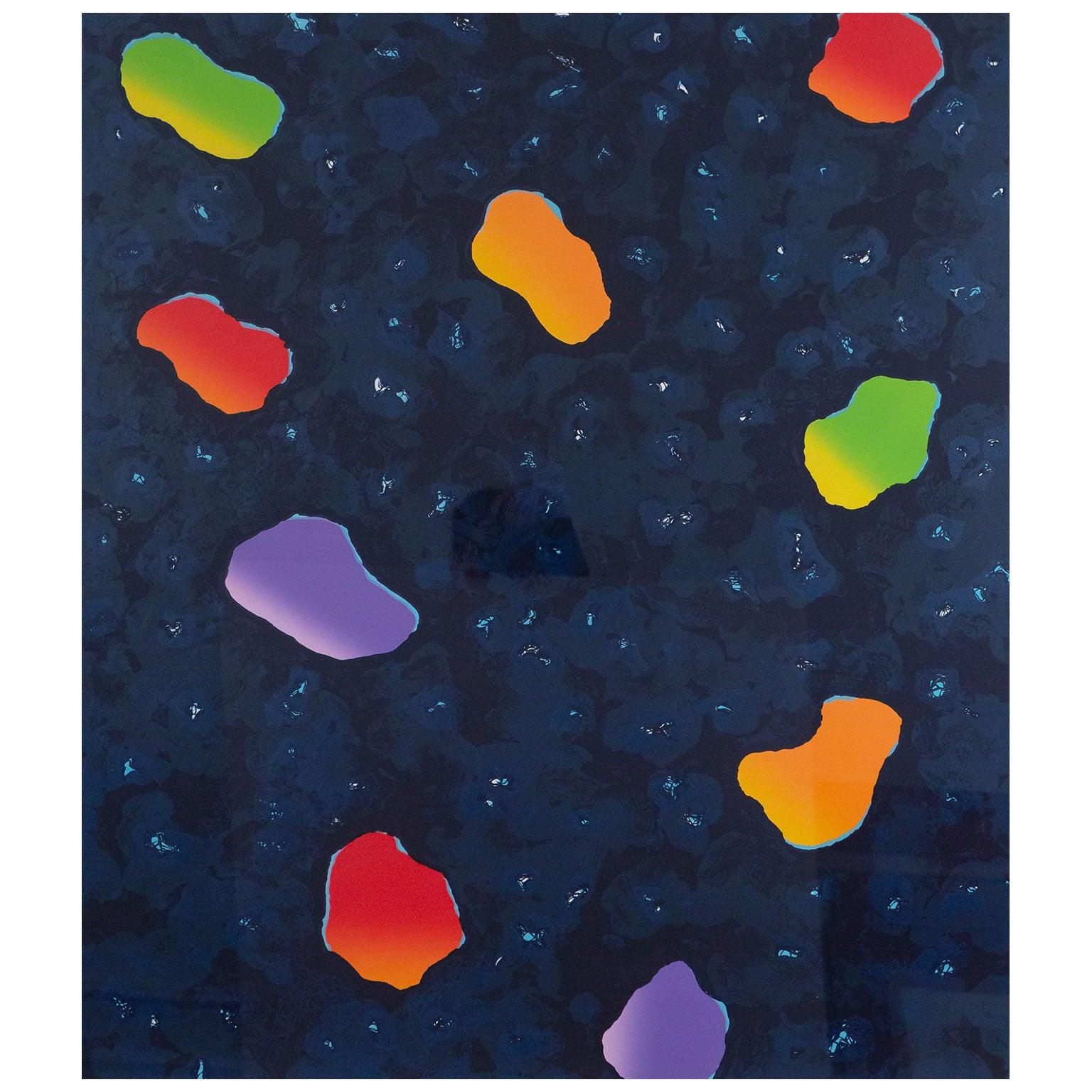 Midnight No. 2 For Sale 9