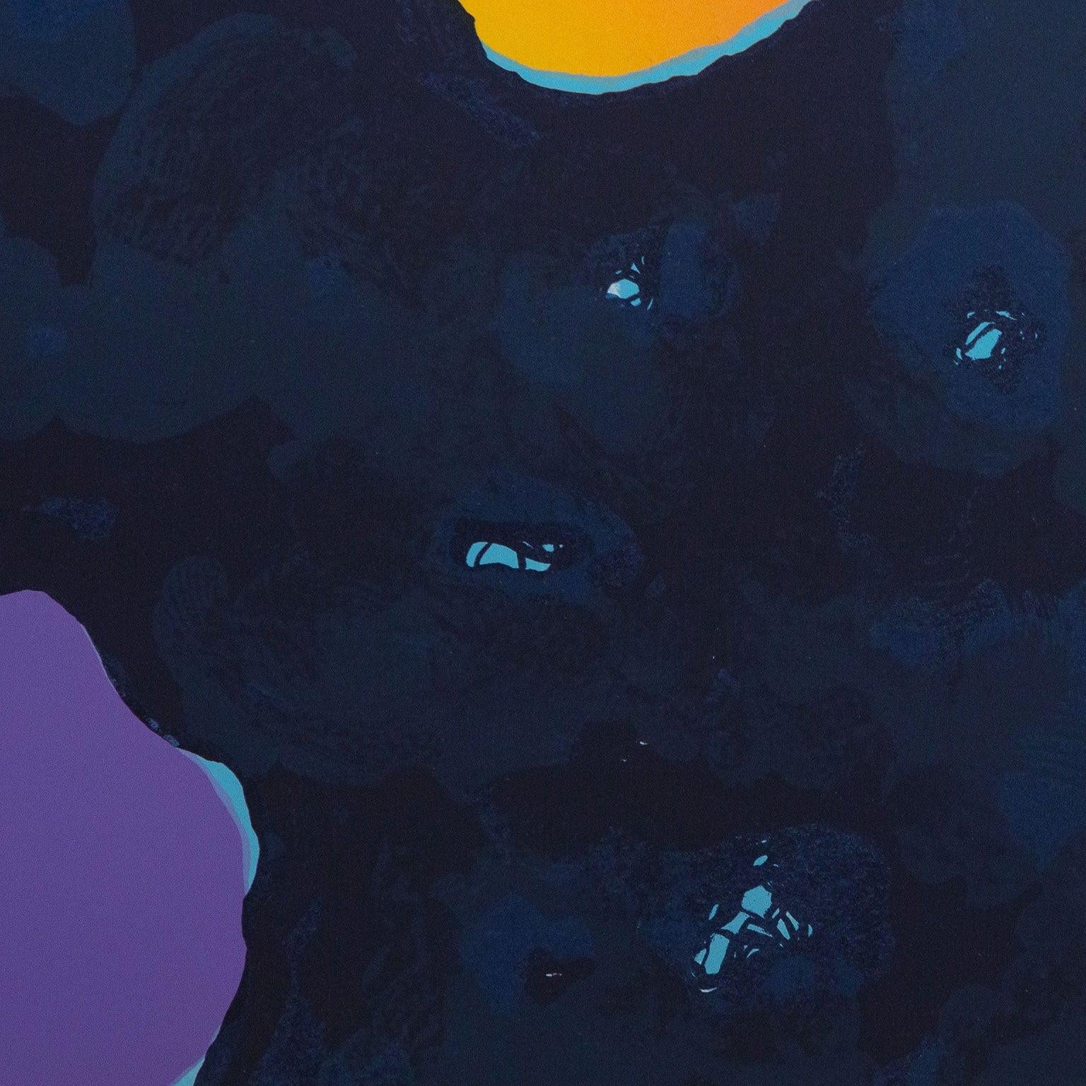 Midnight No. 2 For Sale 6
