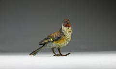 Vienna Bronze, Red Robin, Austria Late-1800s
