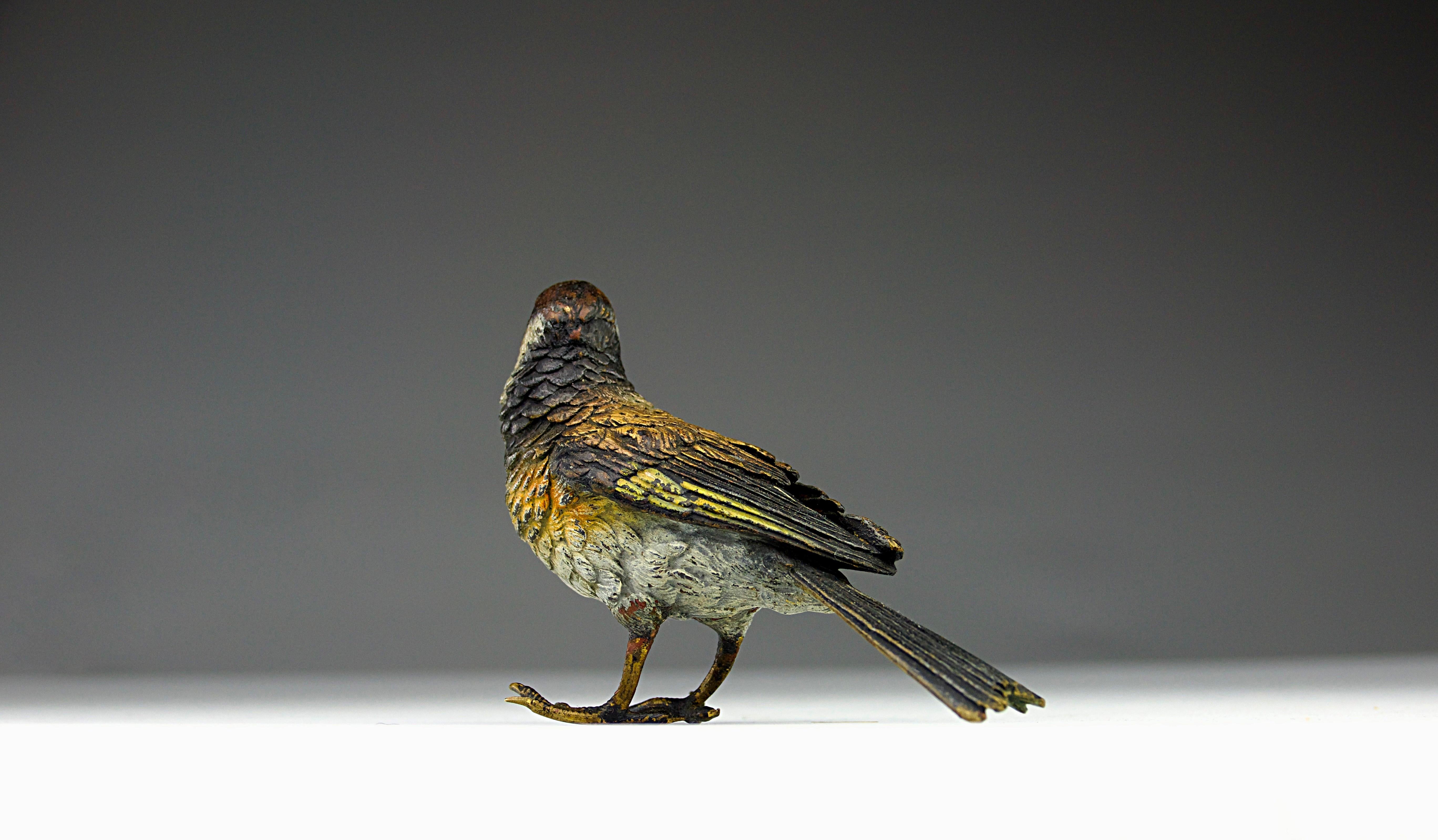 Polychromed Vienna Bronze, Red Robin, Austria Late-1800s For Sale