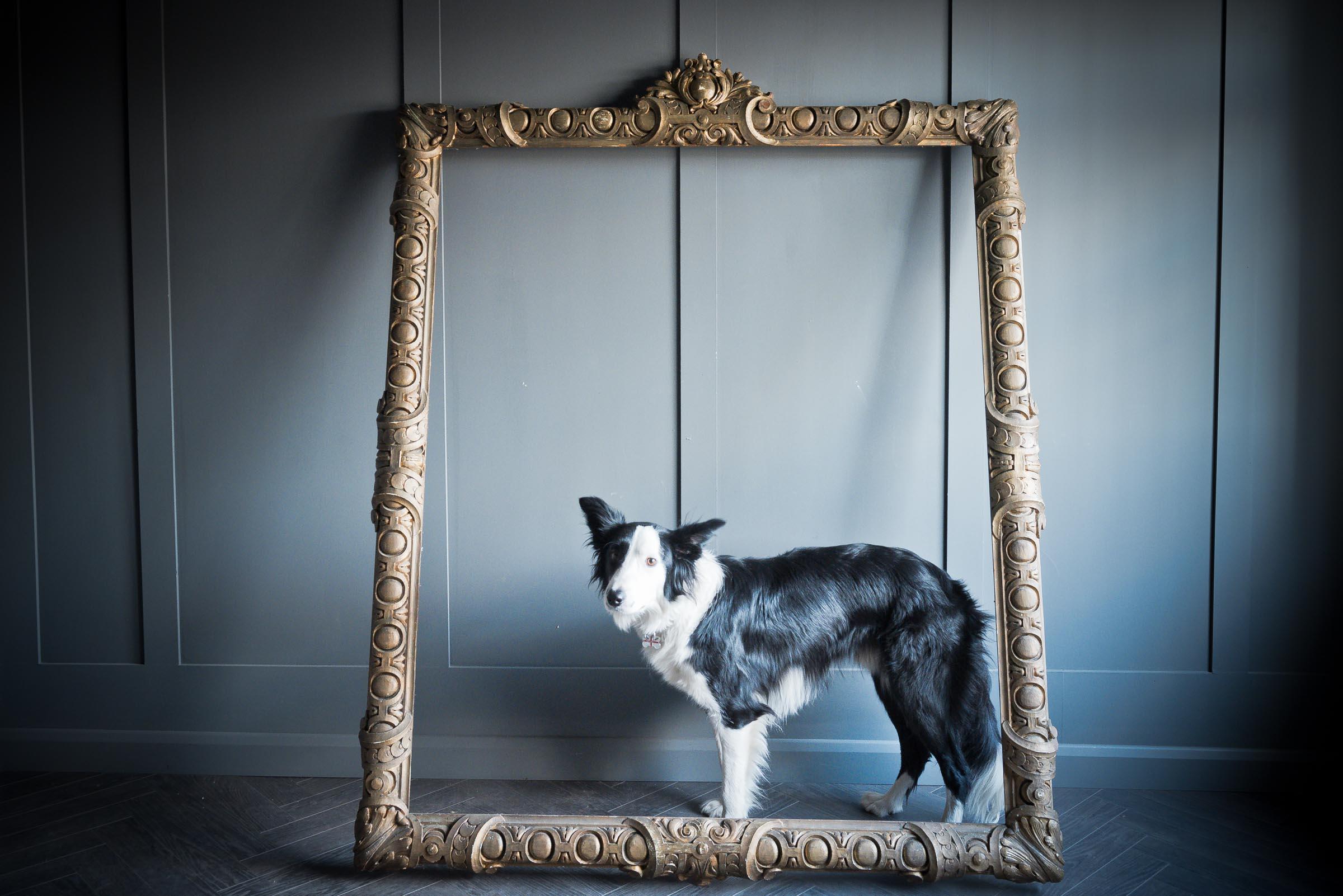 An escapee from the Getty Museum, an early 19th Century, stupendously hand carved worn gilt and historically replaced discolored plate mirror of European origin.