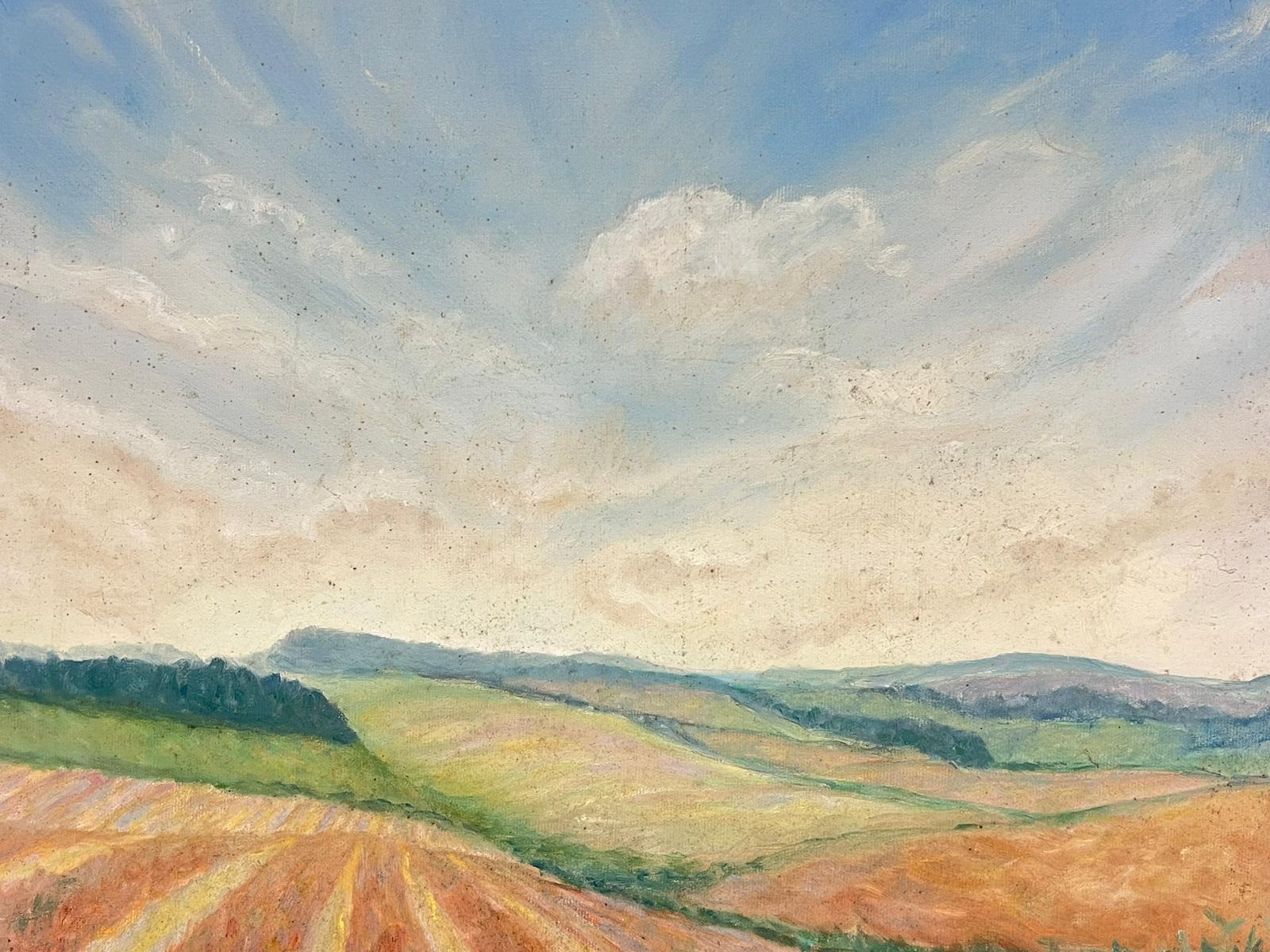 Cloudy Blue Skies Over Stripey Meadows Contemporary British Oil Painting For Sale 2