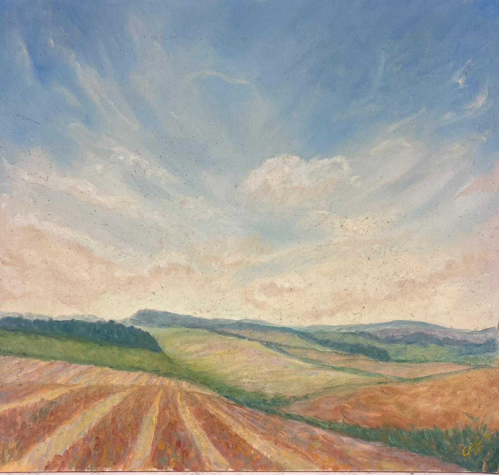Geza Somerset-Paddon Landscape Painting - Cloudy Blue Skies Over Stripey Meadows Contemporary British Oil Painting