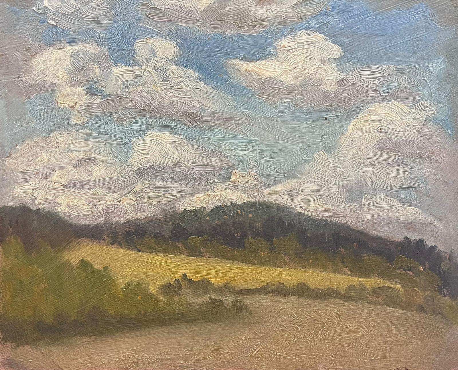 Landscape Painting di Geza Somerset-Paddon - Cielo nuvoloso su prato dorato Pittura ad olio inglese contemporanea