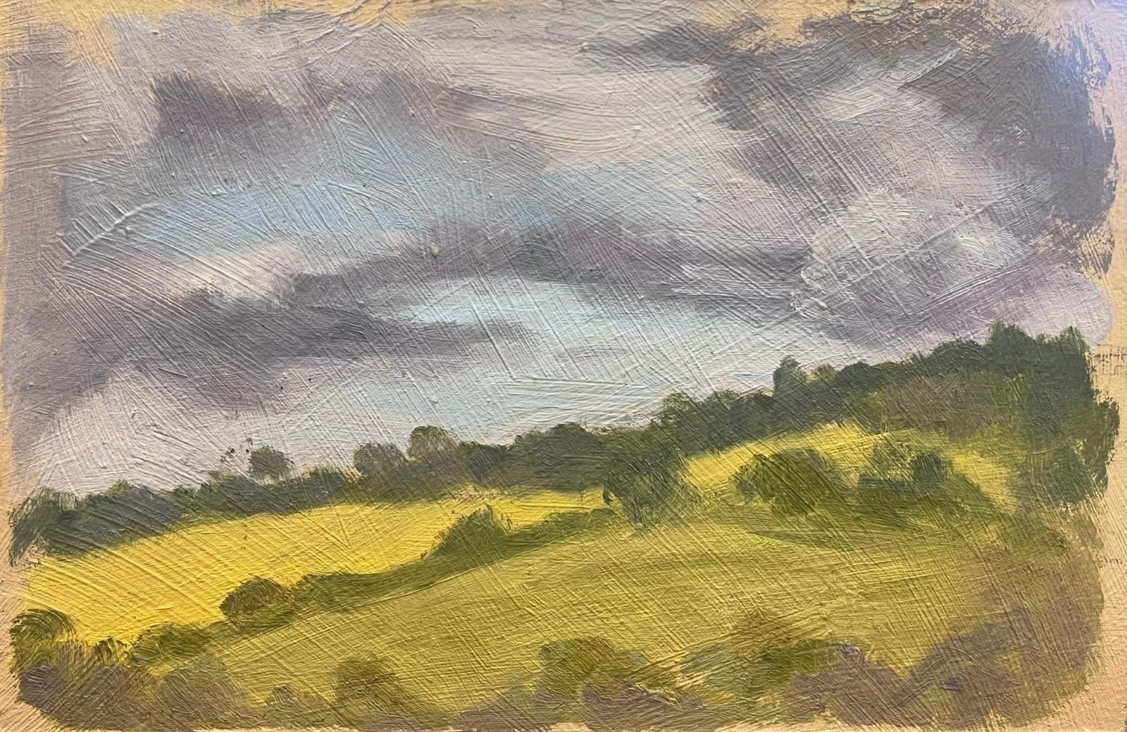 Peinture à l'huile contemporaine britannique Nuages gris au-dessus de champs verdoyants