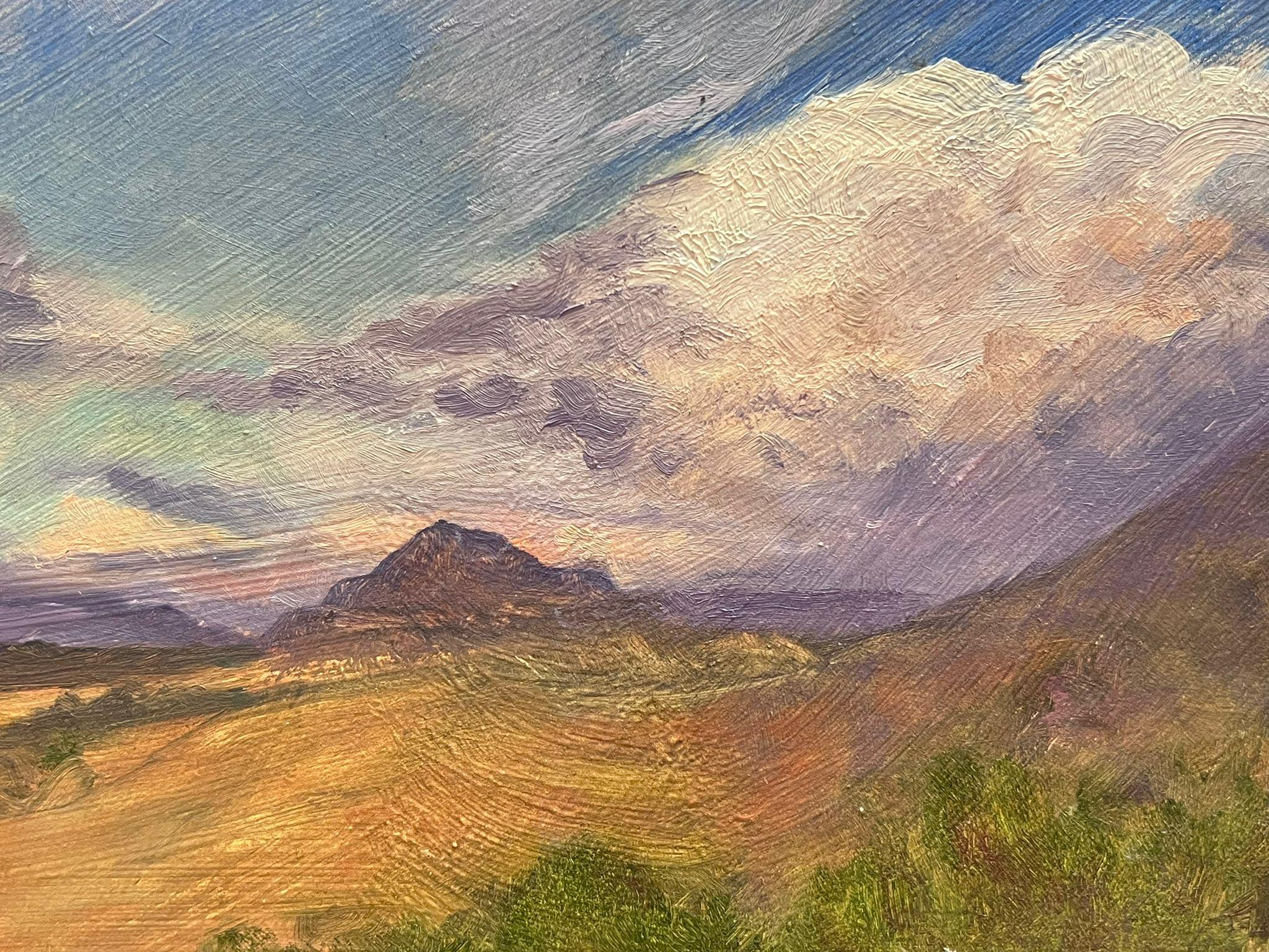Namibia South African Landscape Purple Cloudy Sky over Fields, signed oil - Painting by Geza Somerset-Paddon