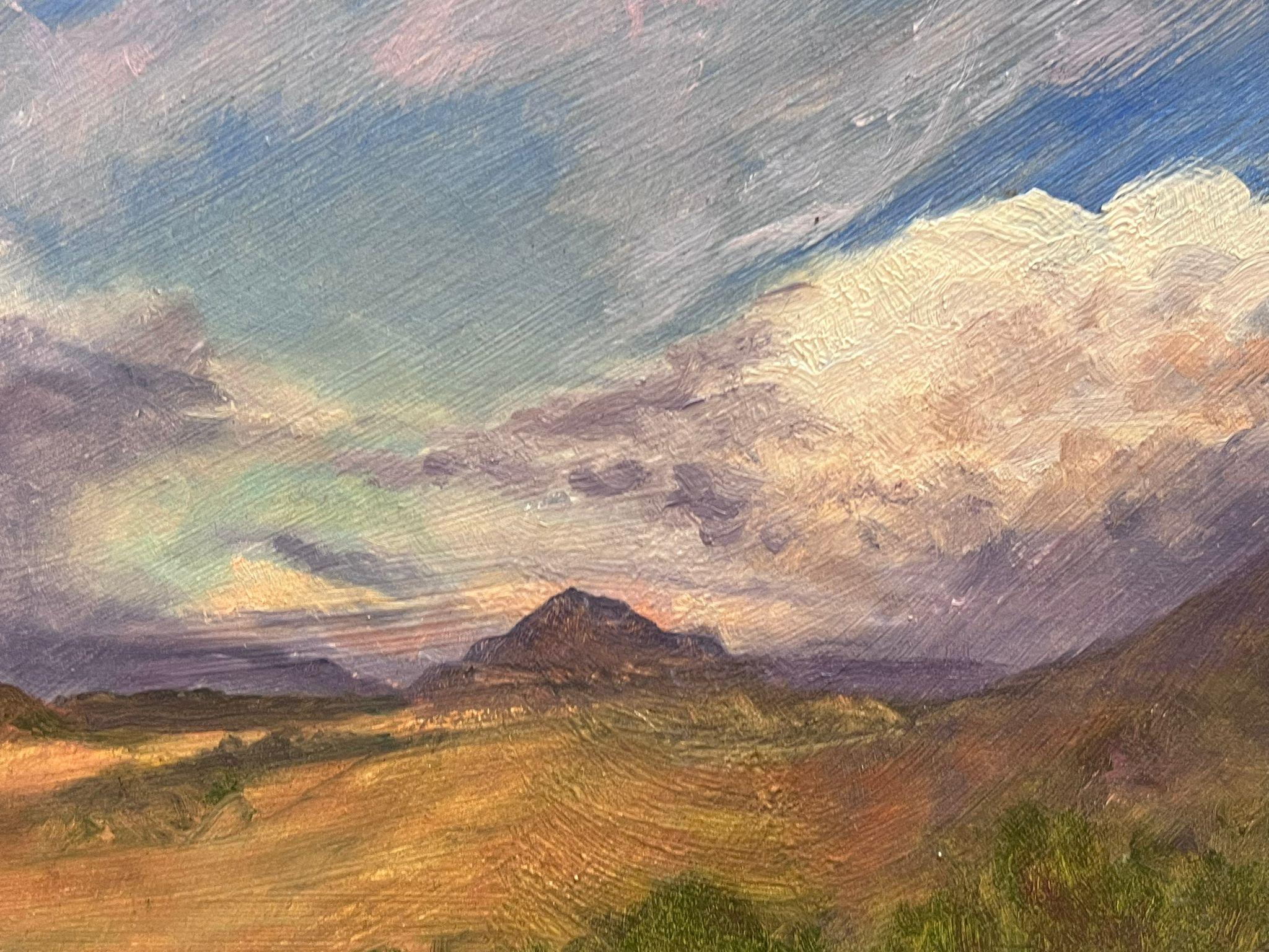 Namibia South African Landscape Purple Cloudy Sky over Fields, signed oil - Impressionist Painting by Geza Somerset-Paddon