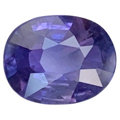 Gemma di forma ovale con zaffiro naturale sfuso certificato GFCO da 1,55 carati