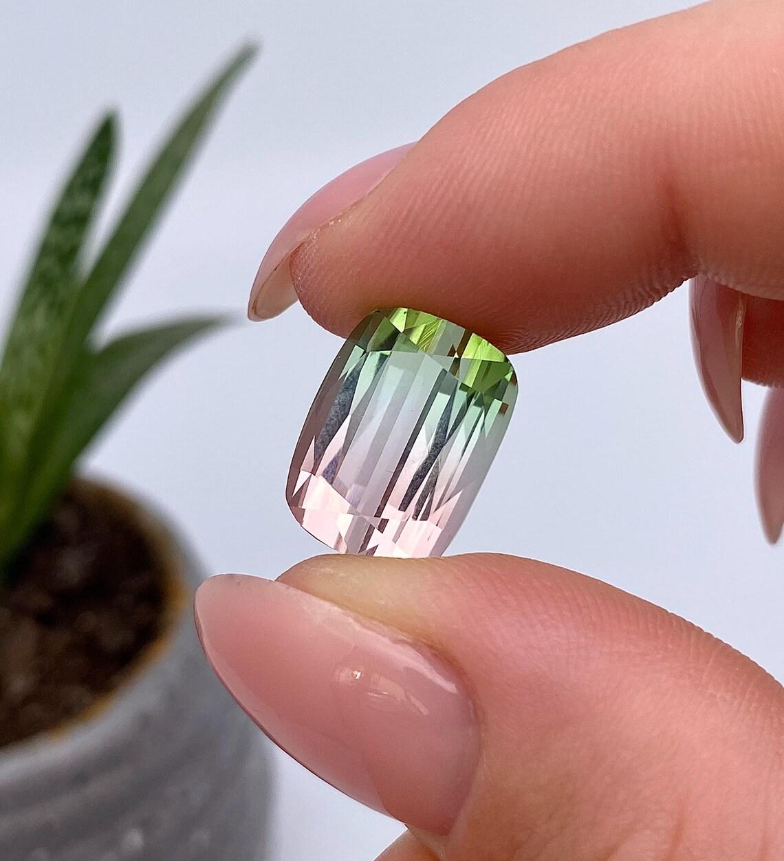 Pierre précieuse tourmaline melon d'eau naturelle certifiée GFCO, origine afghane, 15,51 carats Unisexe en vente