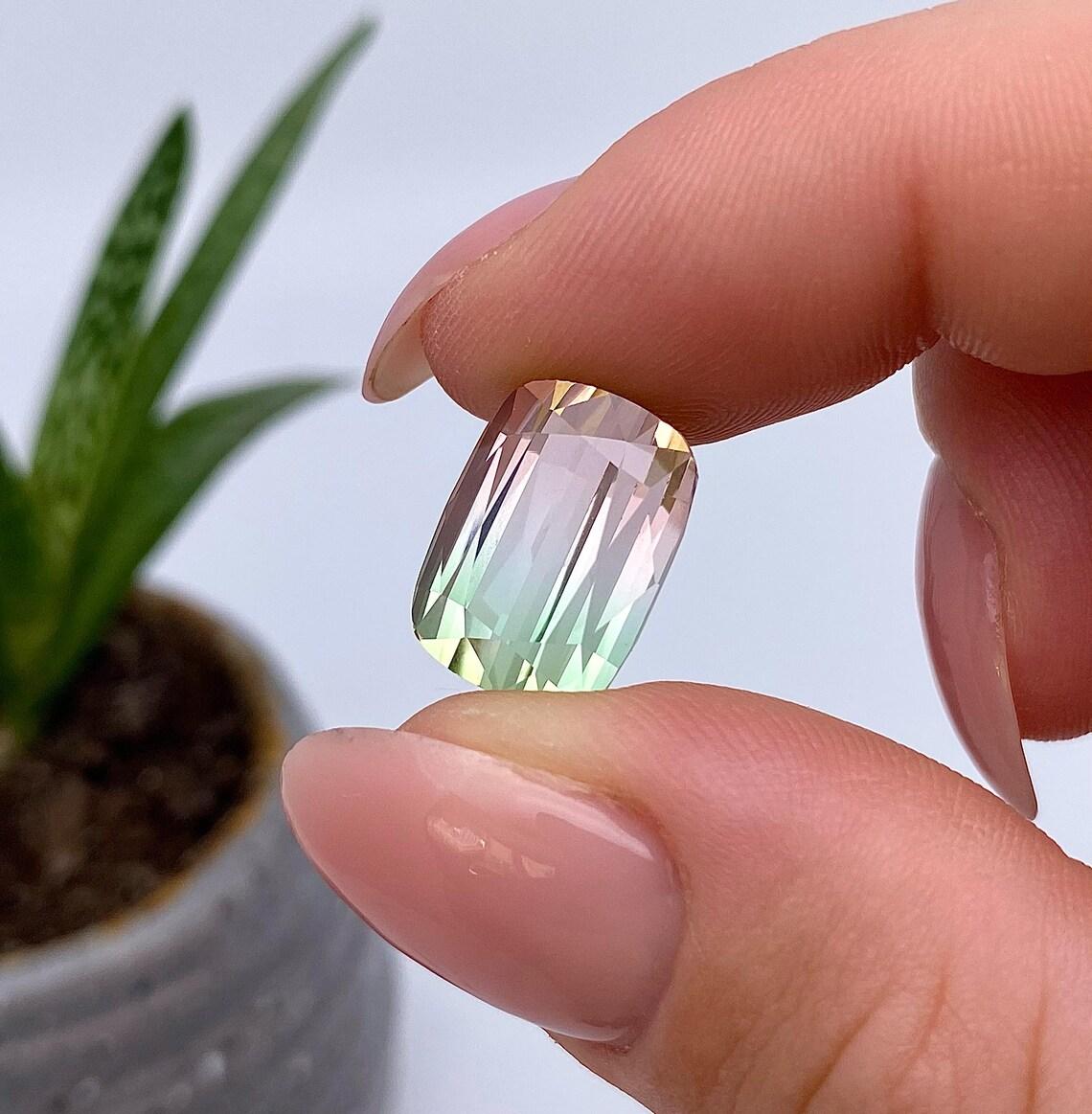 Pierre précieuse tourmaline melon d'eau naturelle certifiée GFCO, origine afghane, 15,51 carats en vente 1