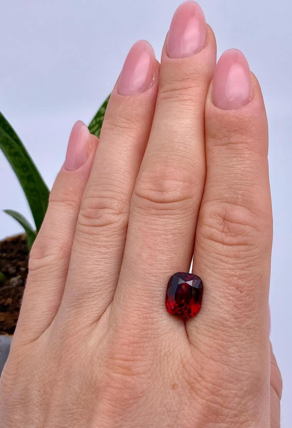 GFCO Certified 6.26ct Natural Pyrope-Almandine Garnet gemstone, Cushion cut. For Sale 2