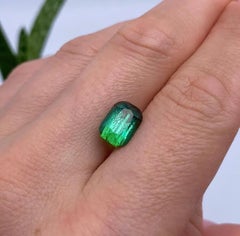 GFCO Certified National 3.81ct Lagoon Tourmaline gemmestone, Octagon, Afghanistan