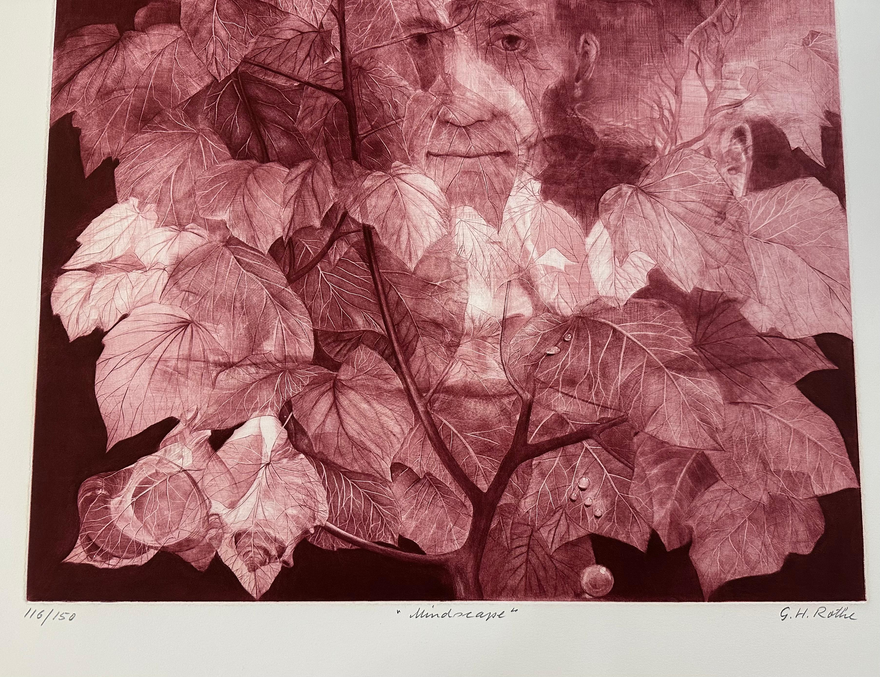 H. H. Rothe, 
