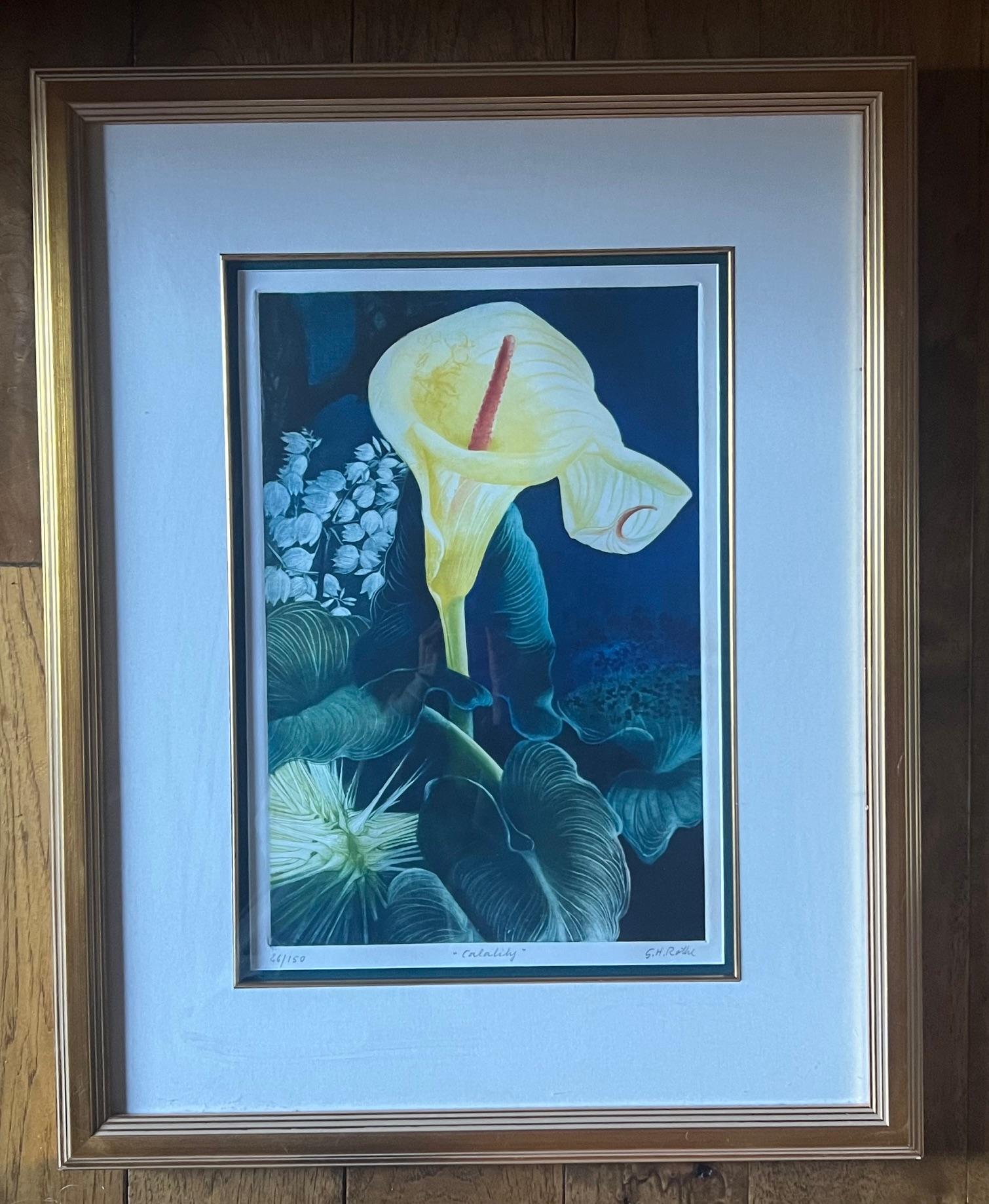 Signé Mezzotint par G.H. Rothe, intitulé Calalily en vente 6