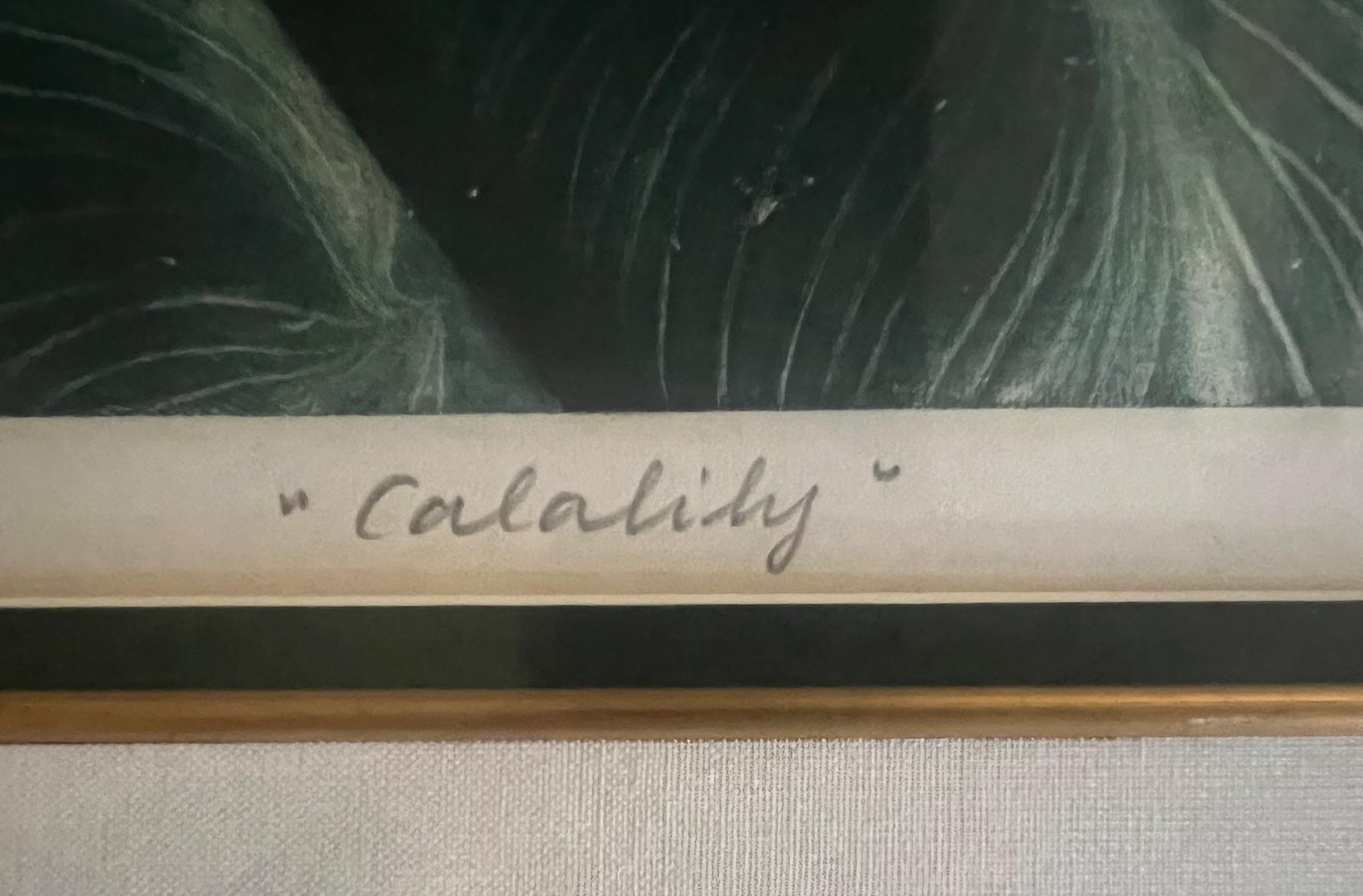 Signé Mezzotint par G.H. Rothe, intitulé Calalily en vente 7