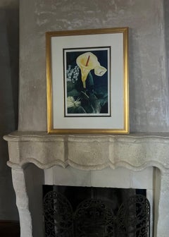 Signed Mezzotint by G.H. Rothe, Titled Calalily