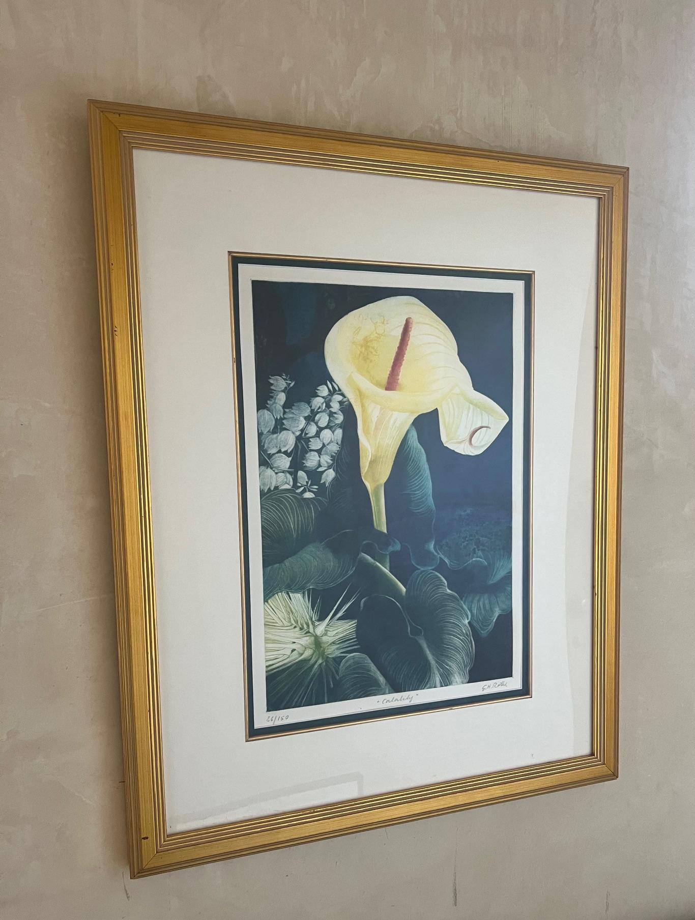 Américain Signé Mezzotint par G.H. Rothe, intitulé Calalily en vente