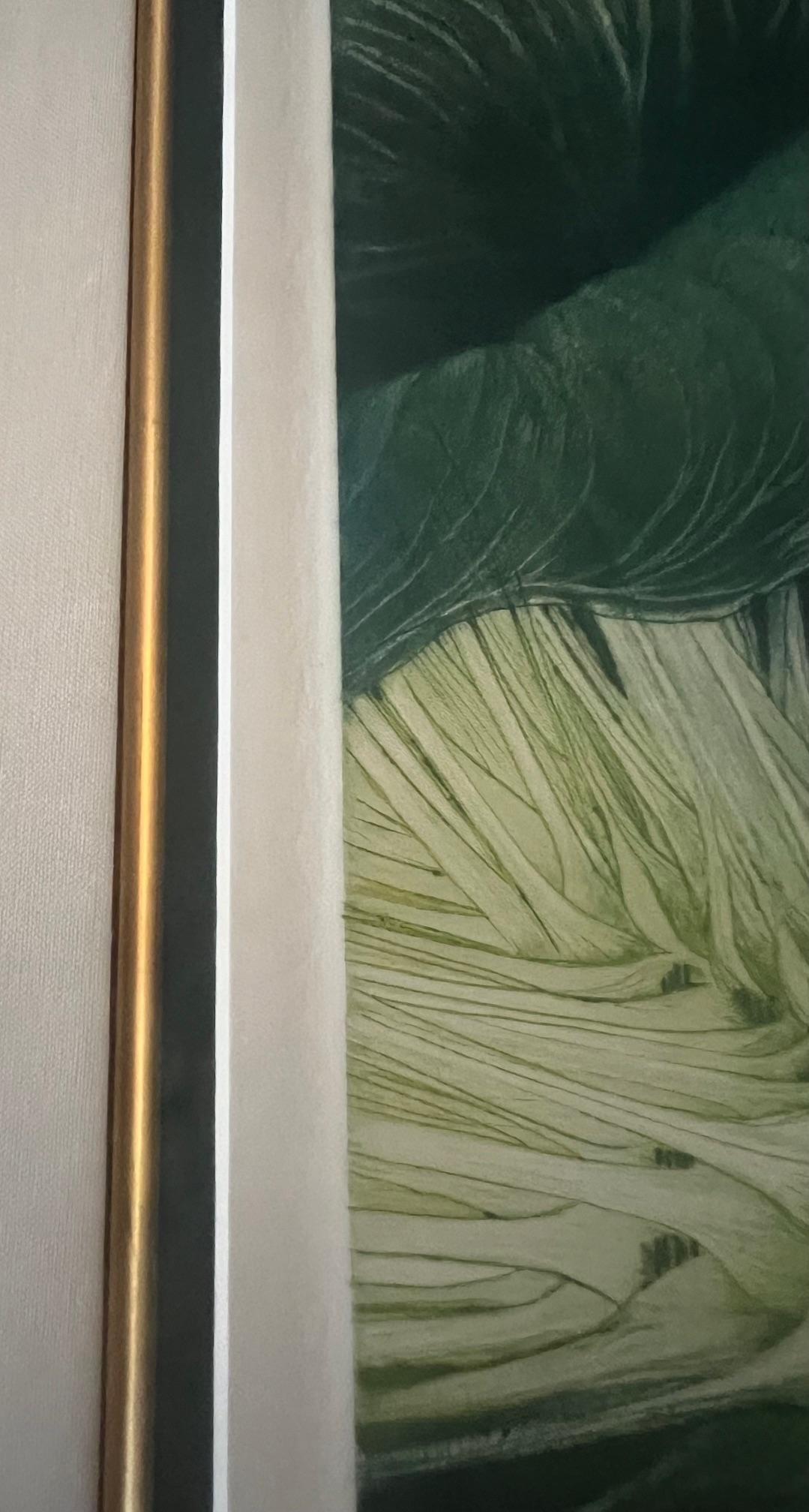 Gravé Signé Mezzotint par G.H. Rothe, intitulé Calalily en vente