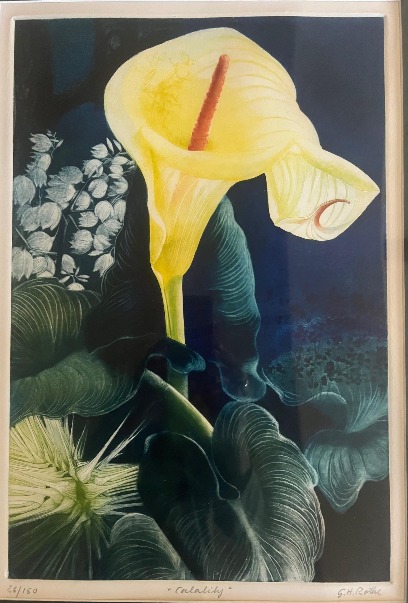 Signé Mezzotint par G.H. Rothe, intitulé Calalily Bon état - En vente à Ross, CA