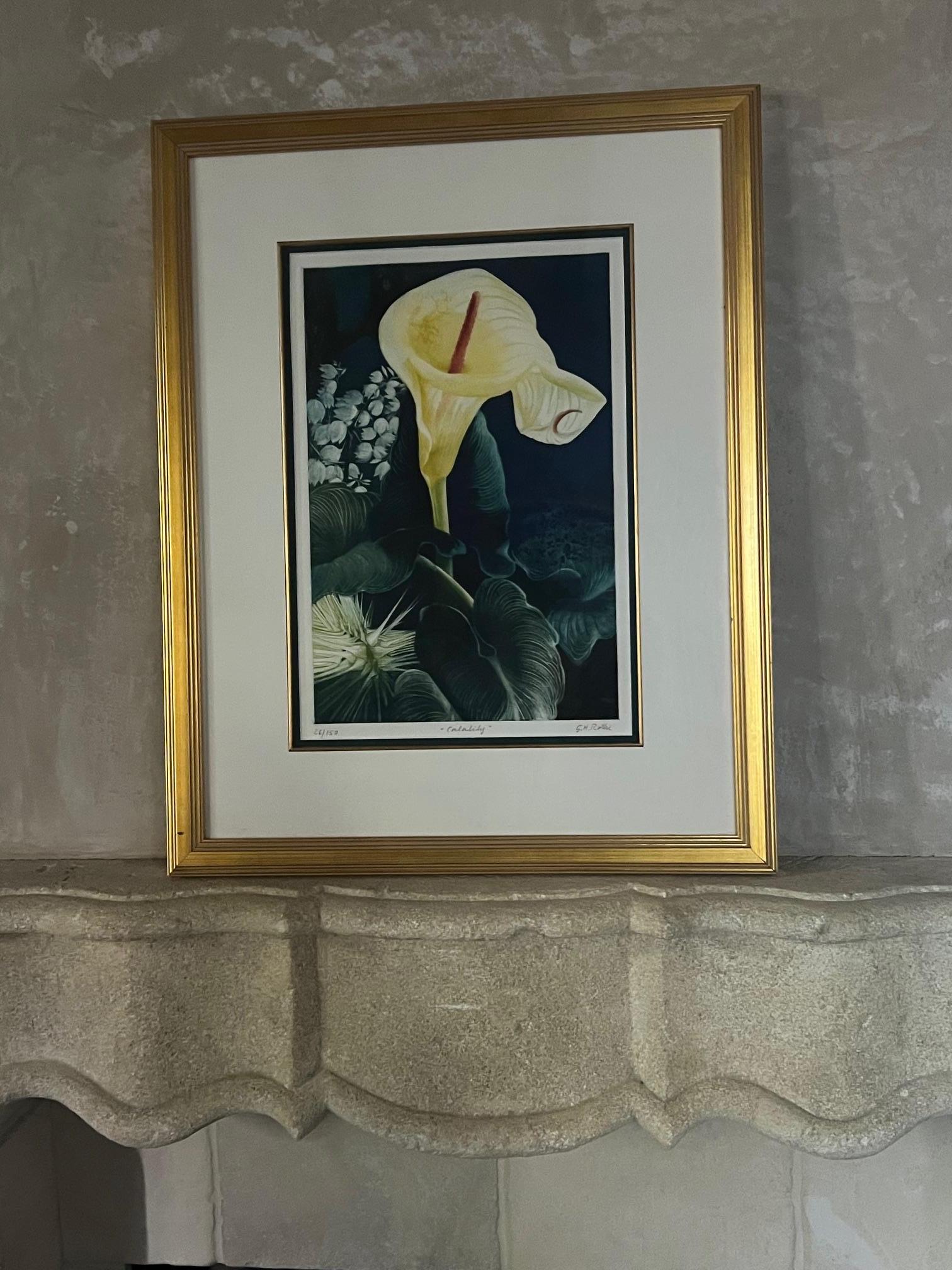Signé Mezzotint par G.H. Rothe, intitulé Calalily en vente 1