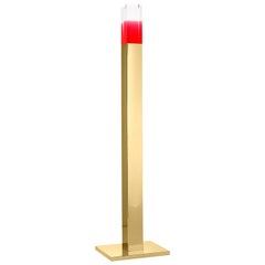 Ghidini 1961 Giotto Stainless Steel Floor Lamp in Polished Gold Finish