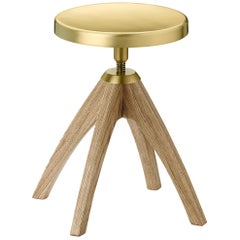 Ghidini 1961 Leporello Junior Light Durmast Stool in Brass by Paolo Rizzatto