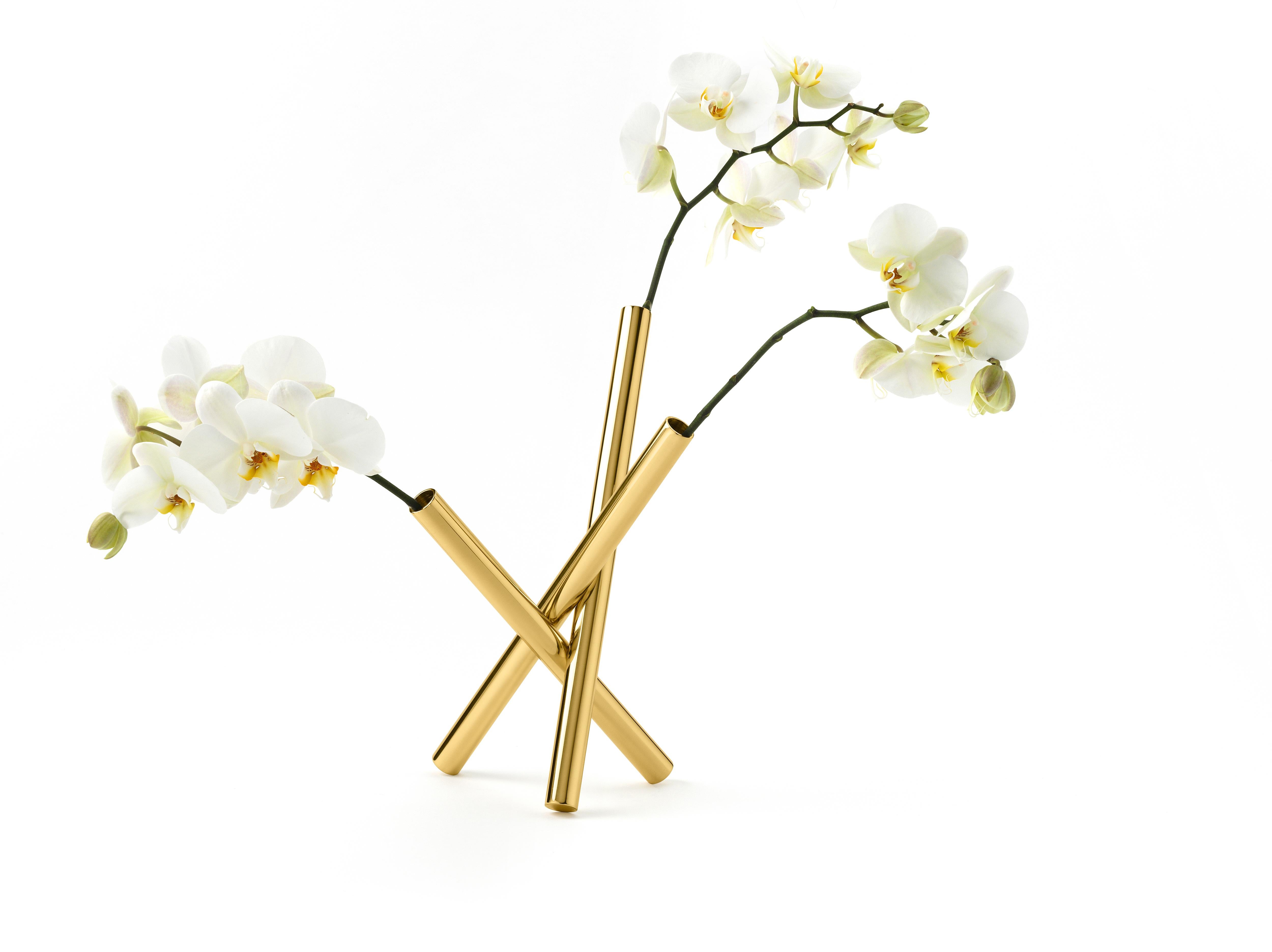 The new flower holder is a small abstract bush. With its delicate poetry it completes the domestic environment. Sticks frees our composite creativity, consents the play of colors, essences and fragrances, even disordered like in Brazilian forests,