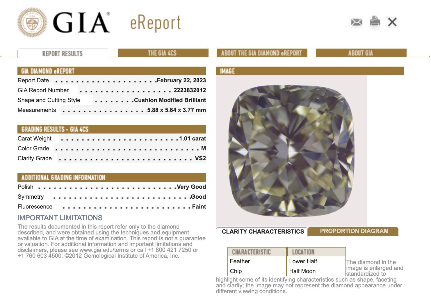 GIA 1.01ct Cushion Modified Cut Halo Ring, M, VS2 For Sale 3