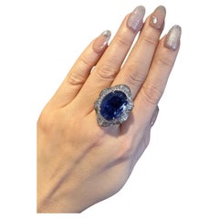 GIA 25.22 carat Natural Oval Sapphire and Diamond Ring in Platinum