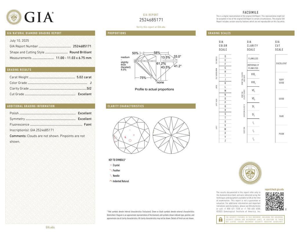 GIA 5,02ct Runde Solitär mit halber Ewigkeit 18K Weißgold Diamantring (Zeitgenössisch)