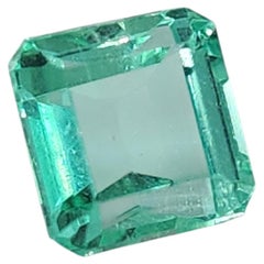 Émeraude colombienne certifiée par le GIA, 0,73 carat, taille octogonale, unisexe, 1990