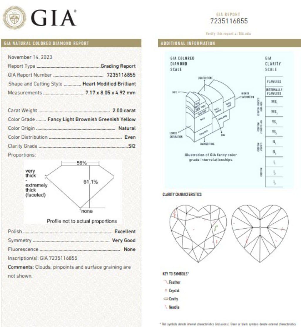 GIA Certified 0.84 Carat Fancy Greyish Green VS2 Clarity Diamond For Sale 1