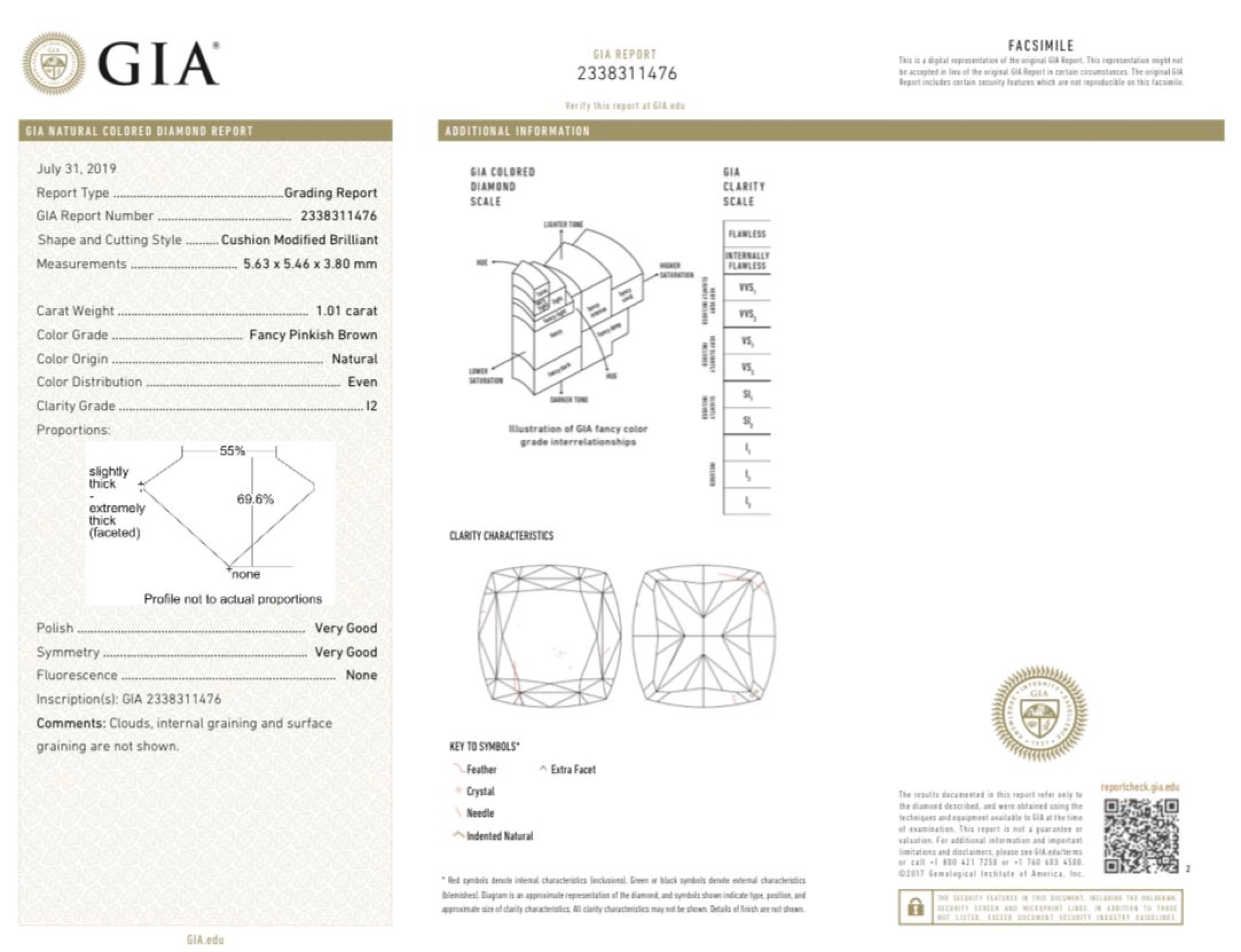 GIA zertifiziert 1,01 Karat Fancy Pinkish Brown Diamantring I2 Reinheit im Angebot 2