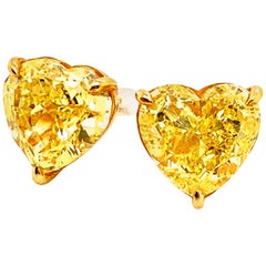 Gold Stud Earrings