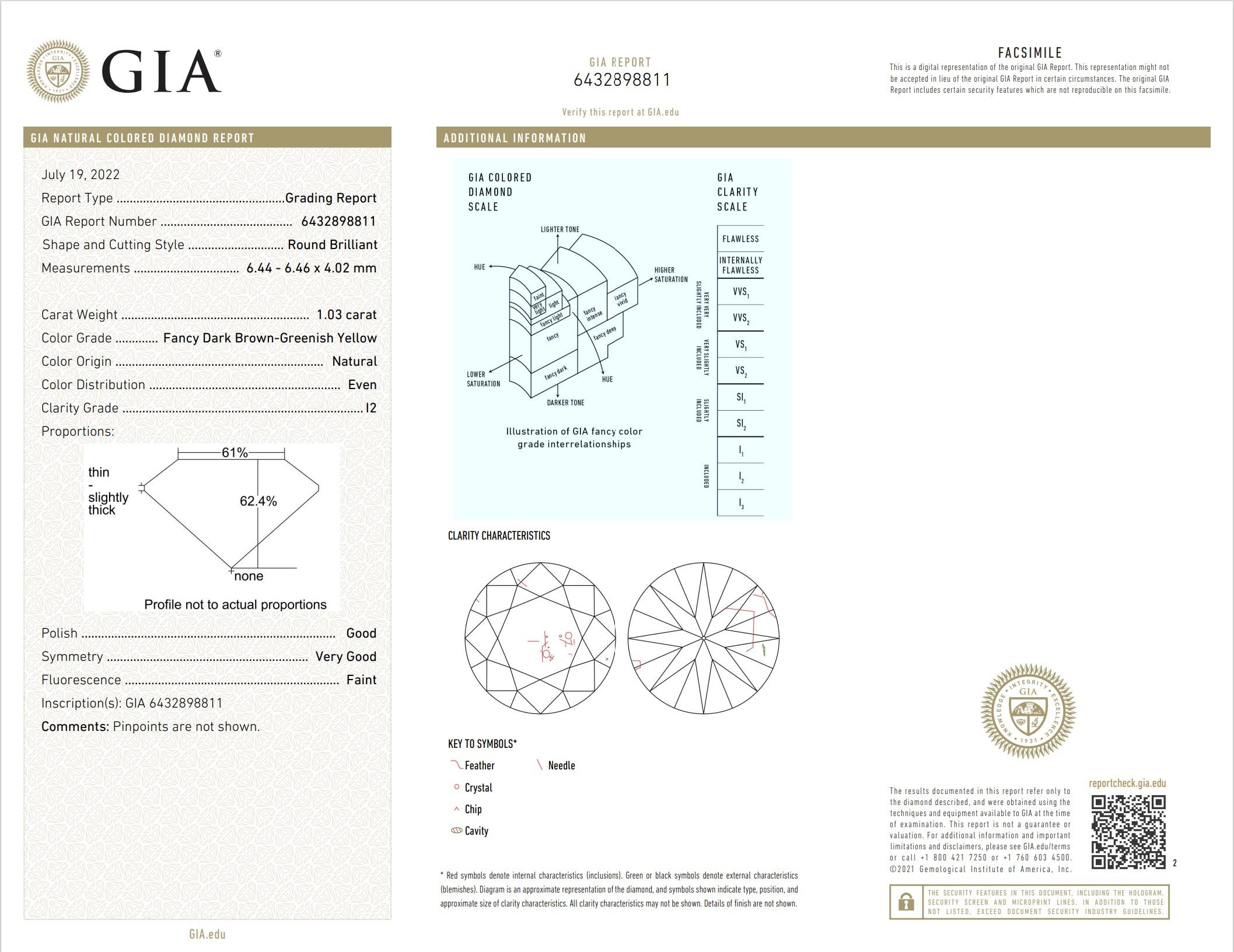 GIA Certified 1.03 Carat Fancy Dark Brown Greenish Yellow I2 Clarity Diamond For Sale 1