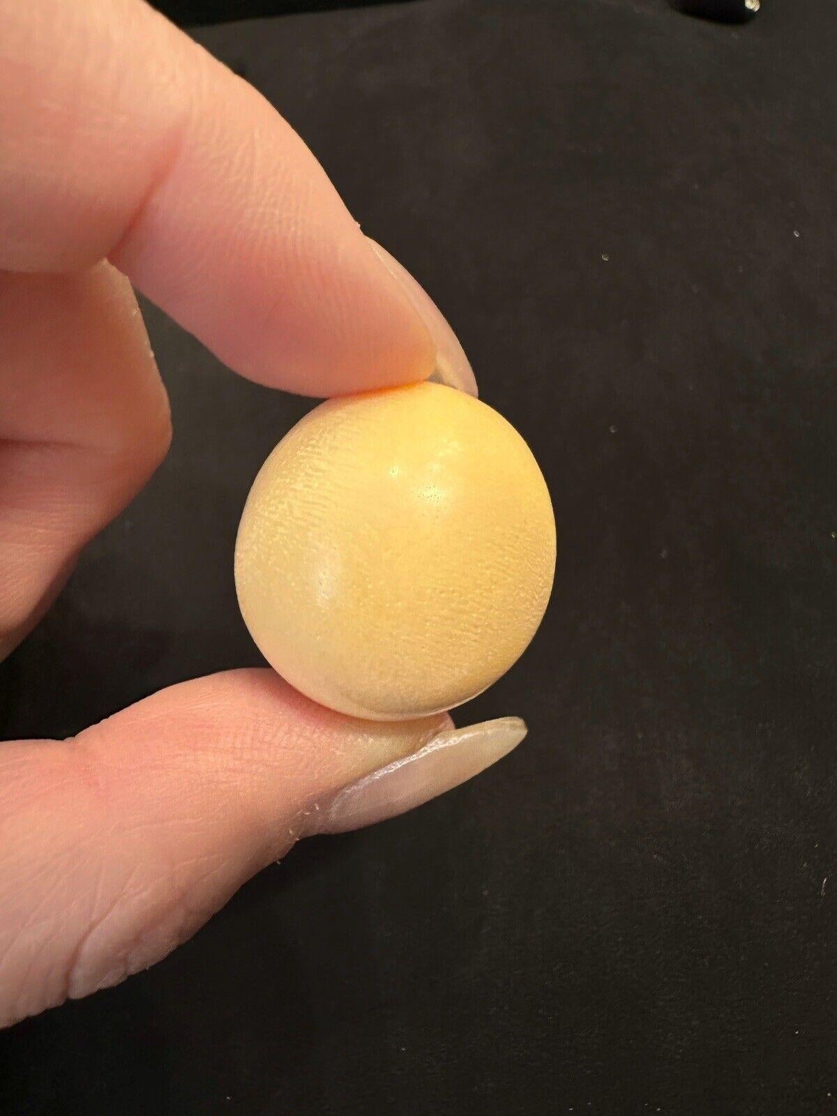 GIA Certified 109 Carats Natural Melo Pearl Extremely Rare Collector's Dream For Sale 1