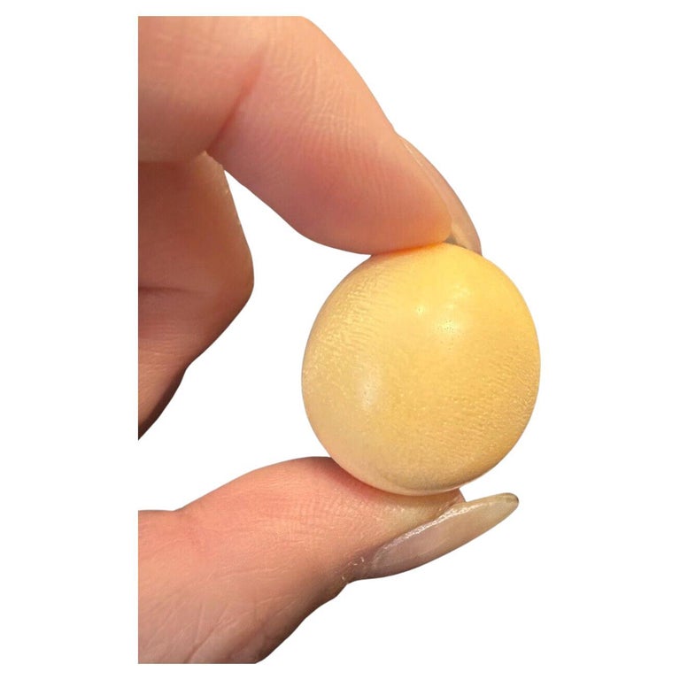 GIA Certified 109 Carats Natural Melo Pearl Extremely Rare