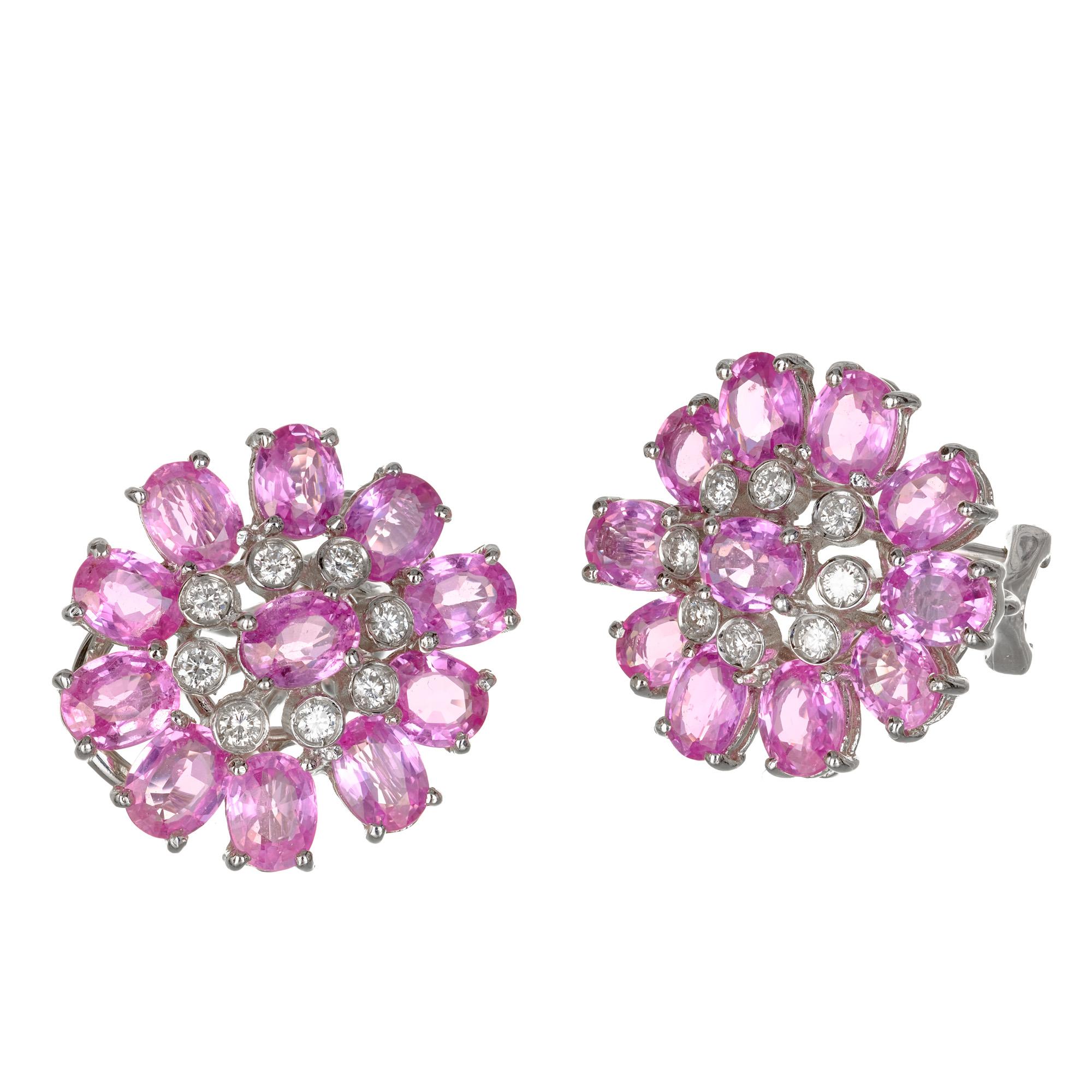 Oval sapphire and diamond cluster earrings. Clip post earrings with a hidden hook on the back to hang a pearl or other drop. 22 oval pink sapphires set in 18k white gold with 16 round accent diamonds. 

22 oval bright medium pink Sapphires, well