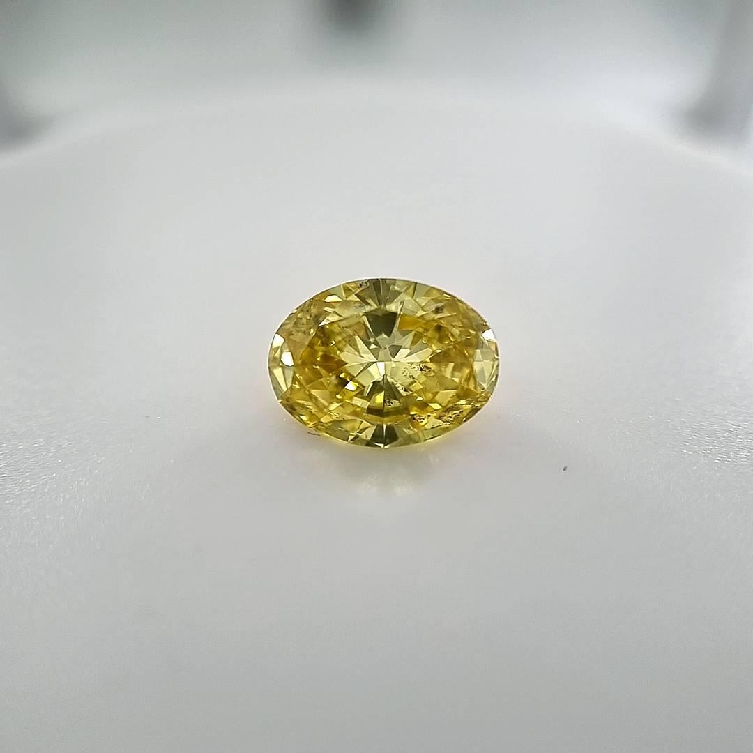 Un impressionnant diamant naturel jaune vif de 1,26 carat de taille ovale brillant, rare dans les diamants de plus de 1,00 carat, beaucoup plus rare que le diamant incolore et super rare de Zimmi surtout avec une grande intensité de couleur ou de