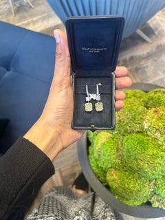 Issac Nussbaum Orecchini con diamante smeraldo quadrato da 12,91 carati 18K WG-YG