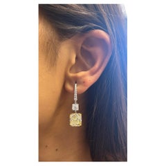 Issac Nussbaum  Orecchini con diamante smeraldo quadrato da 12,91 carati 18K WG-YG