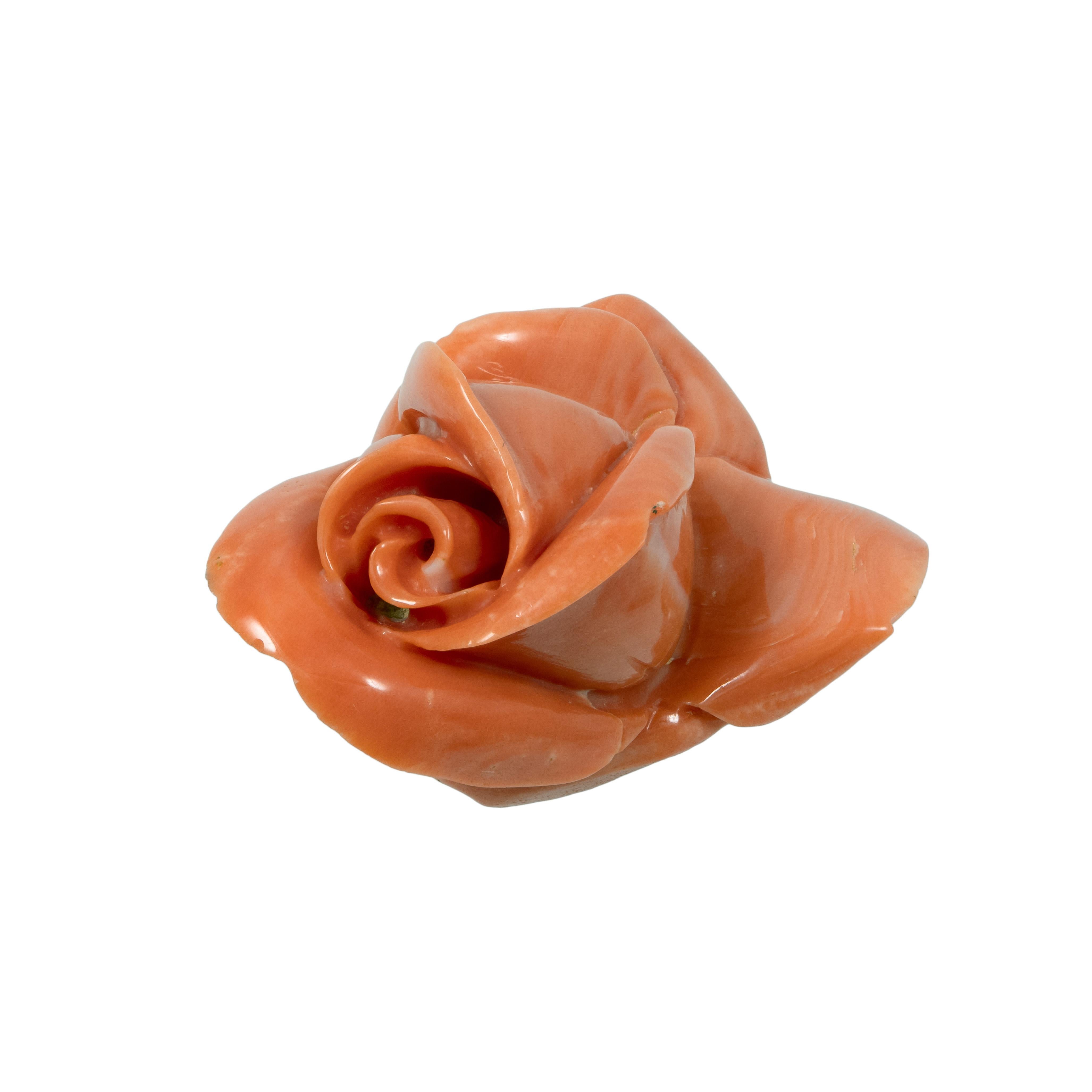 Meisterhaft geschnitzte 131,00ct blühende Rosenkoralle. Natürliche, ungefärbte, orangerote, hochglänzende Farbe. Es misst 47,66 x 31,34 x 25,92 mm. Im Gegensatz zu anderen Edelsteinen ist die Koralle organisch und wächst langsam. Für die Pflege