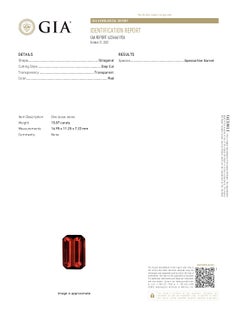 GIA Certified 15.87ct Octagonal Spessartine Garnet