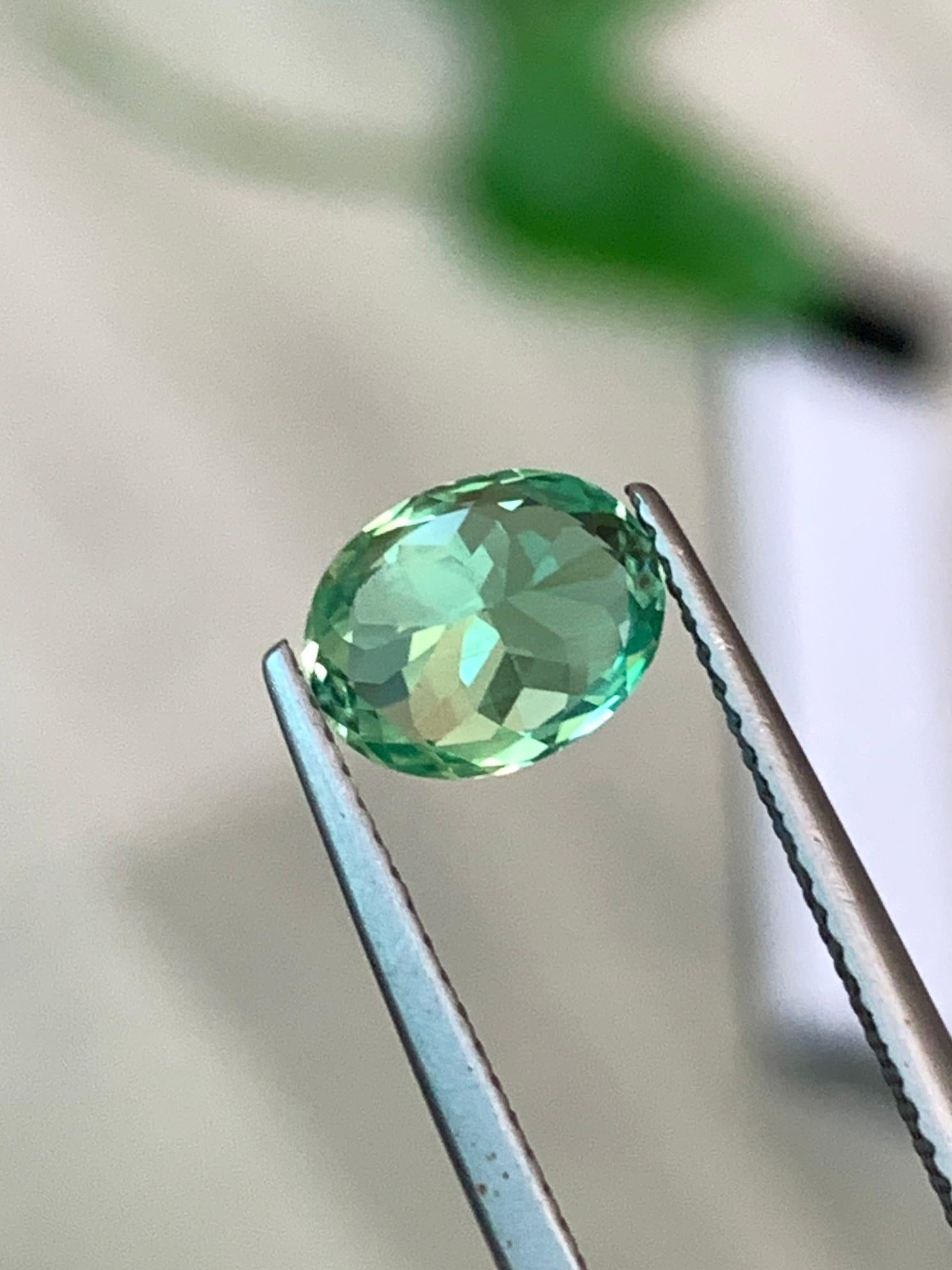 GIA Certified 1.66 Cts AAA Grade Green Rare Rare Kornerupine (Pismatine) For Sale 1